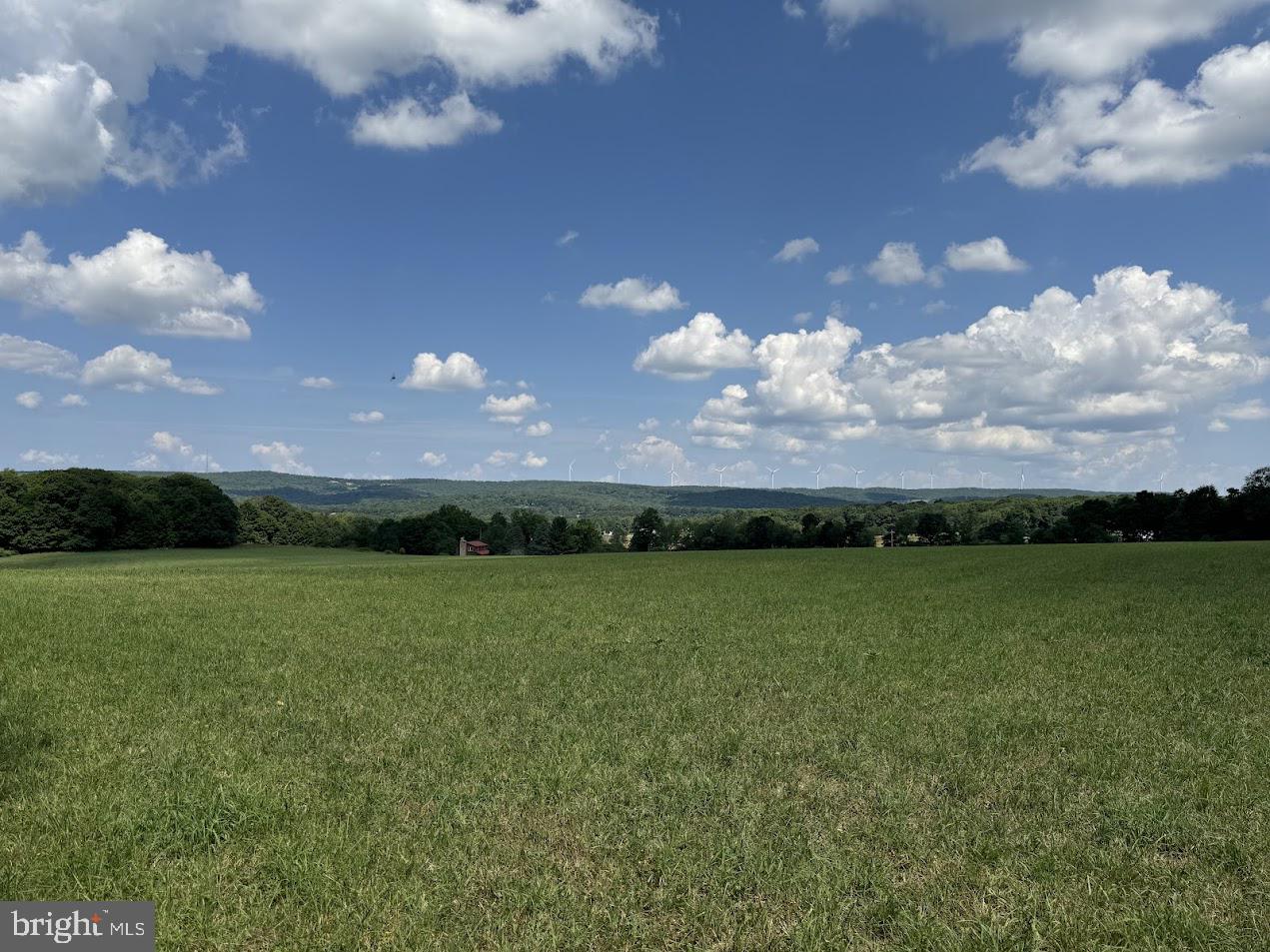 BACKBONE MOUNTAIN - Farm