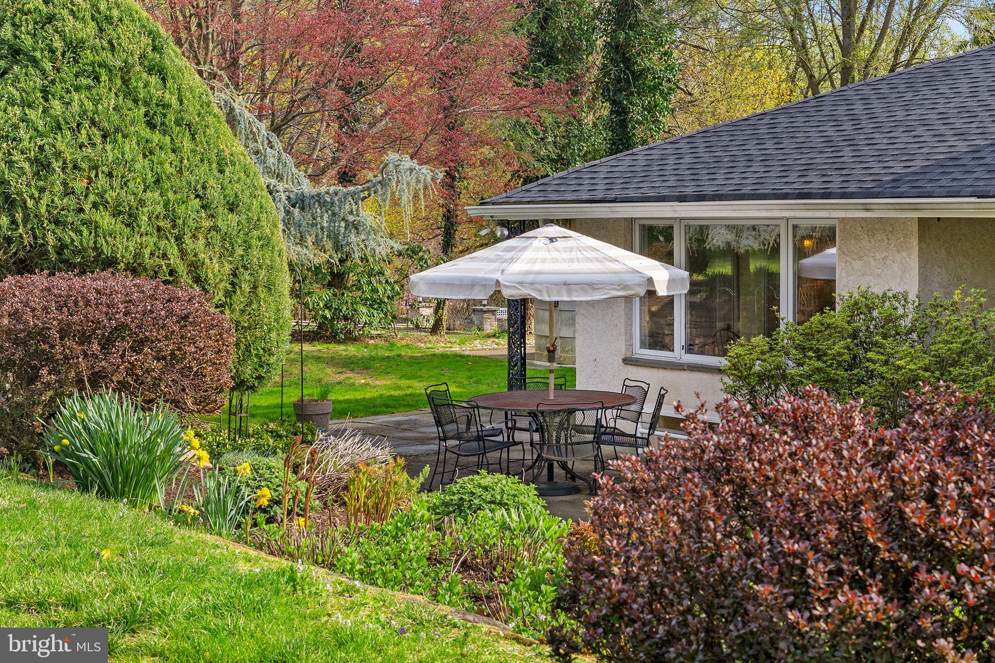 CHESTNUT HILL - Residential