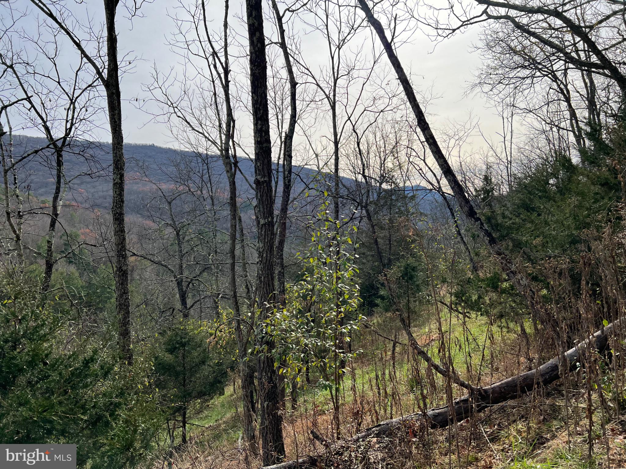 LOST RIVER VALLEY PROPERTIES ASSOCIATION - Residential