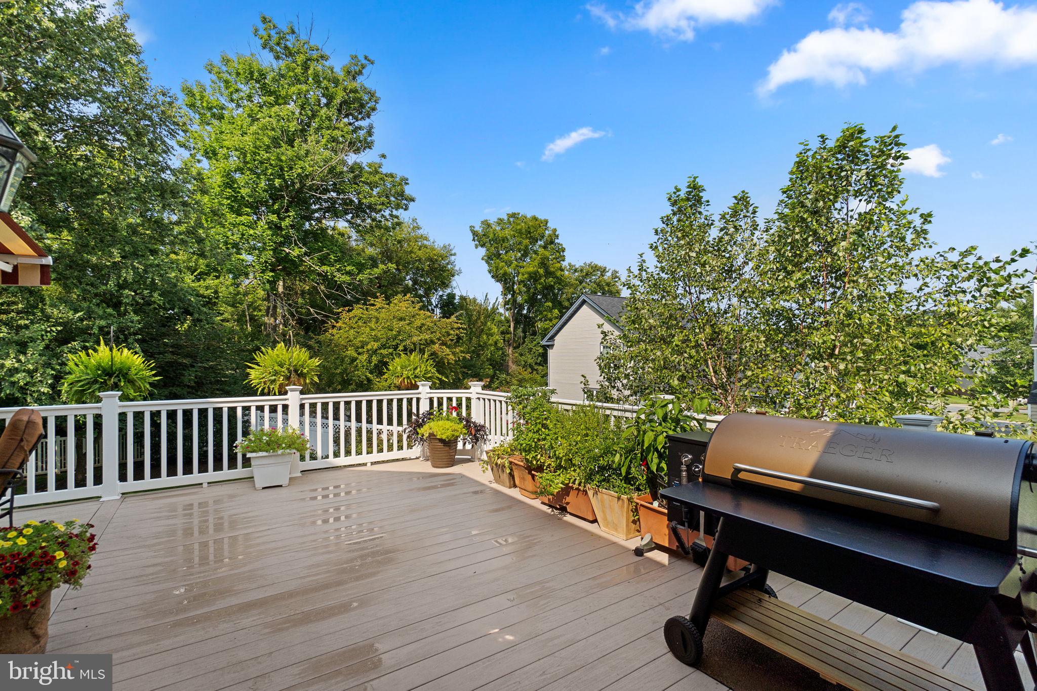 NEW MARKET - Residential