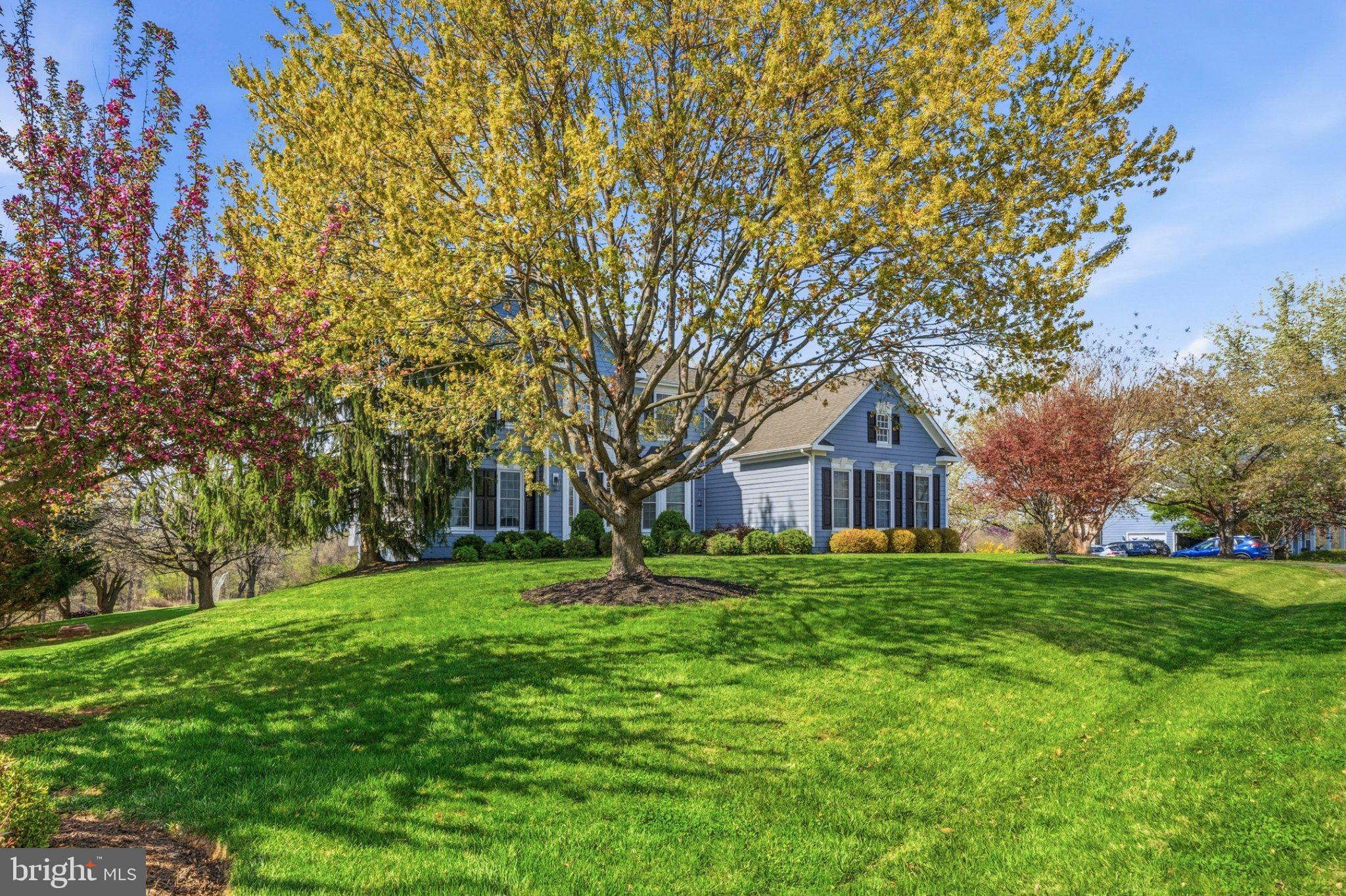 14631 NINA COURT