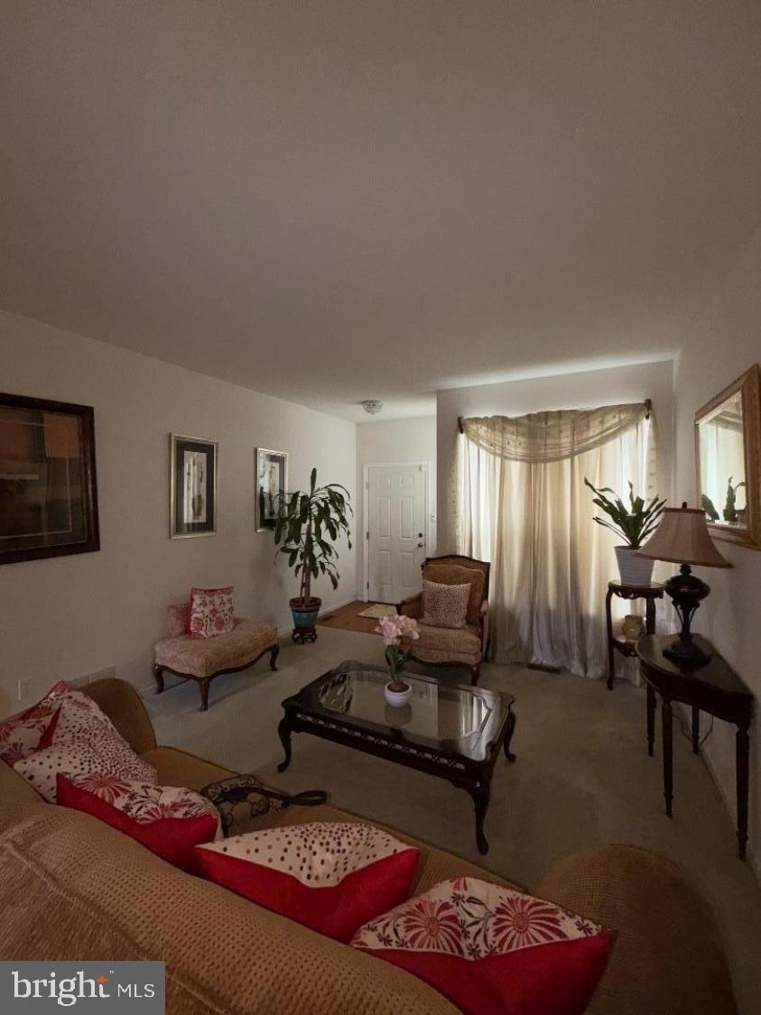 121 THREADLEAF TERRACE