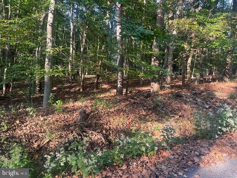 Vacant Land For Sale - Steamboat Run Road<br/> SHEPHERDSTOWN, WV 25443