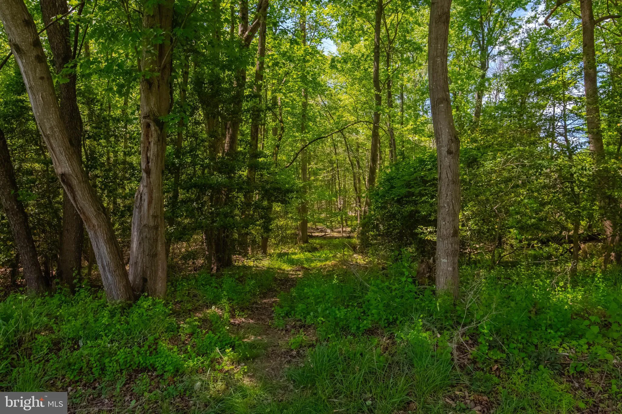 Additional image 111 of 3009 Tiffany Trail, Abingdon, MD 21009