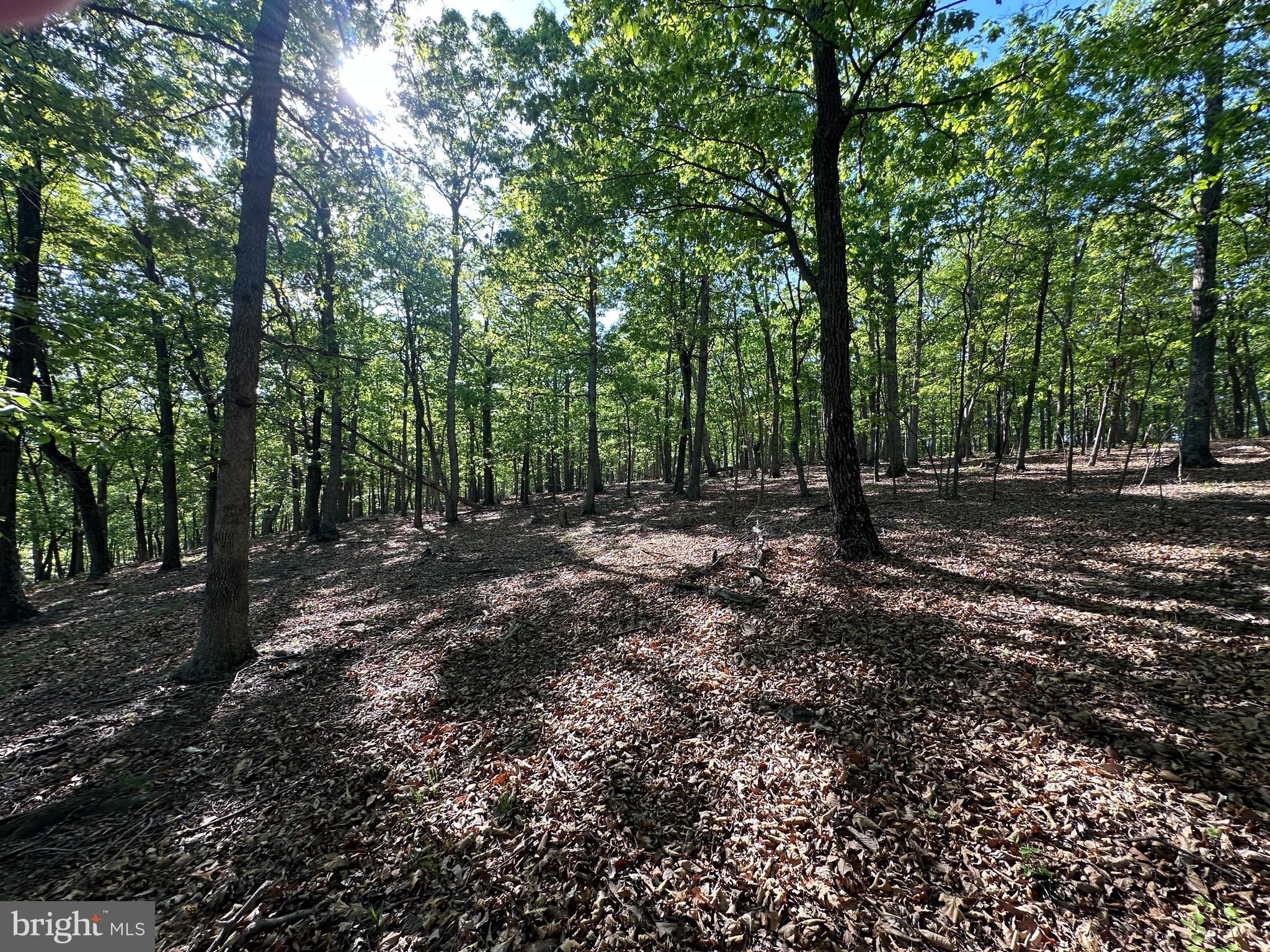 BLUFFS ON THE POTOMAC - Land