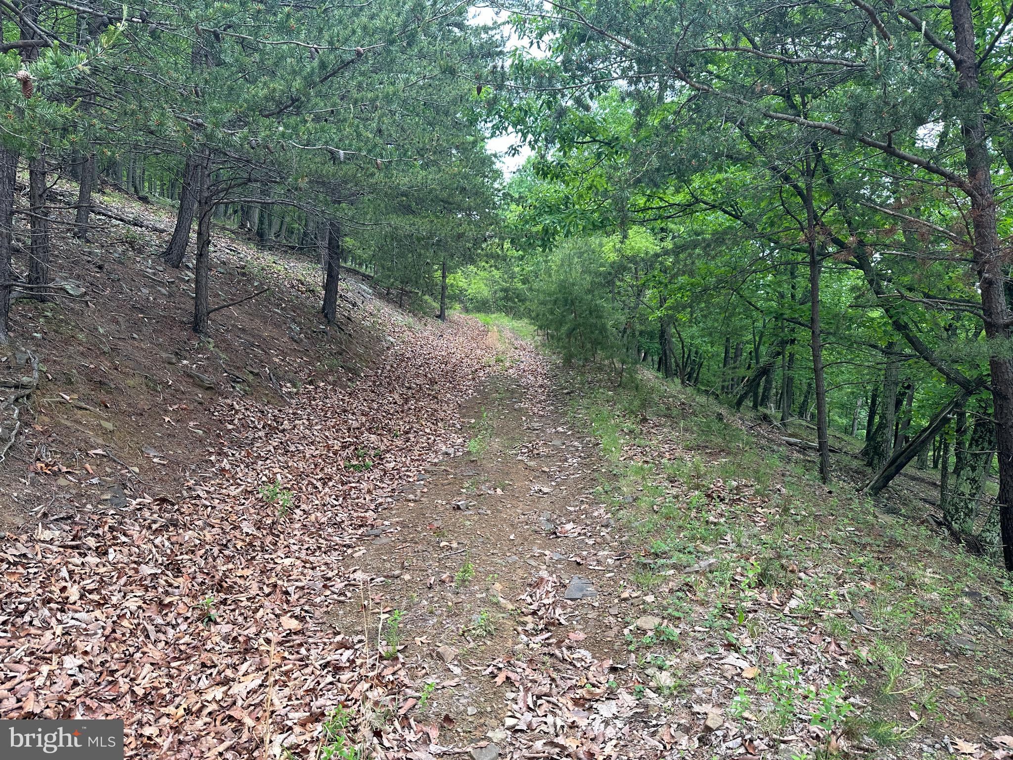 BLUFFS ON THE POTOMAC - Land