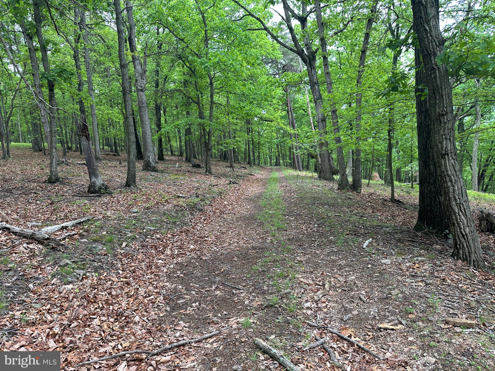 BLUFFS ON THE POTOMAC - Land