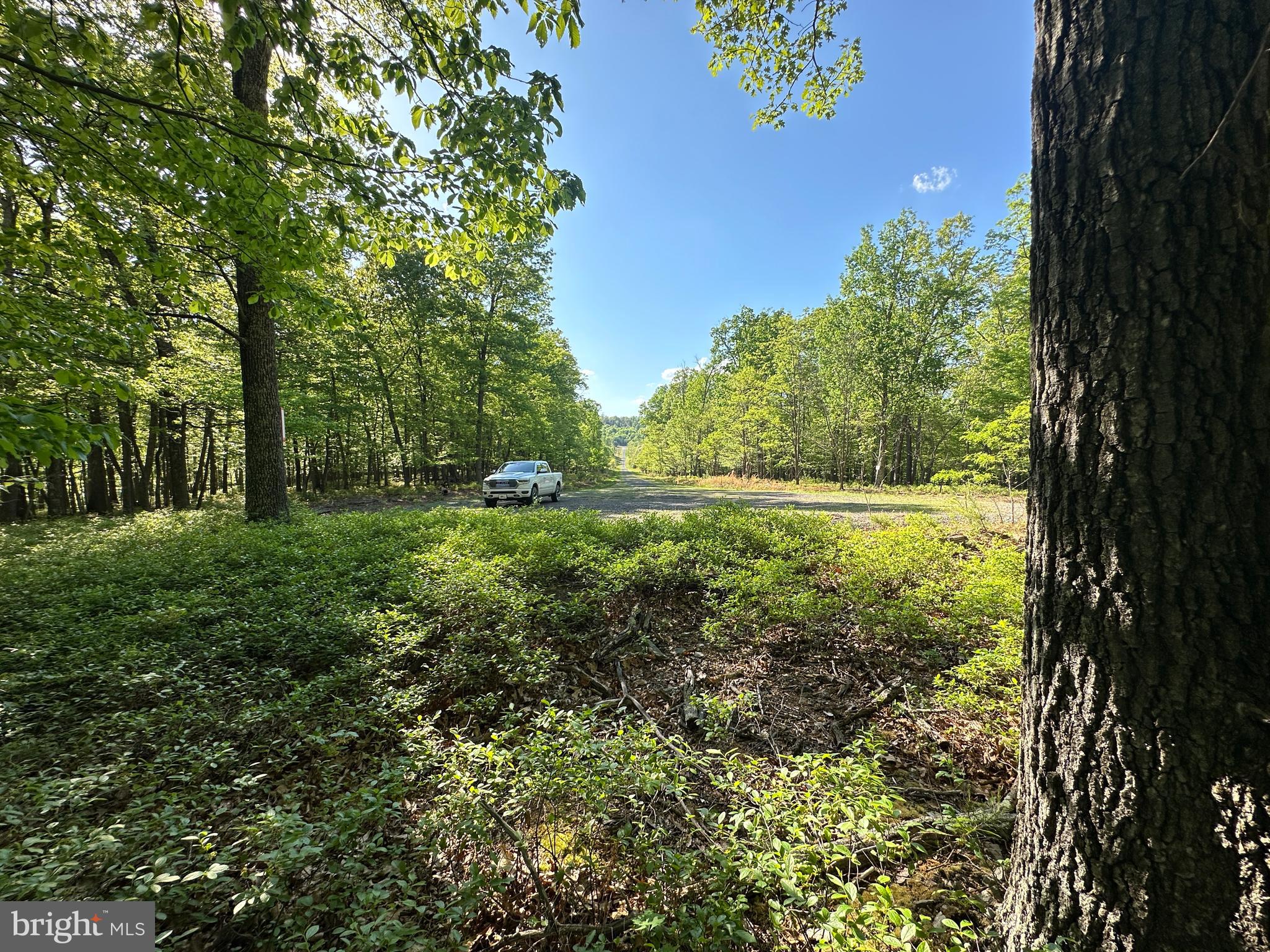 BLUFFS ON THE POTOMAC - Land