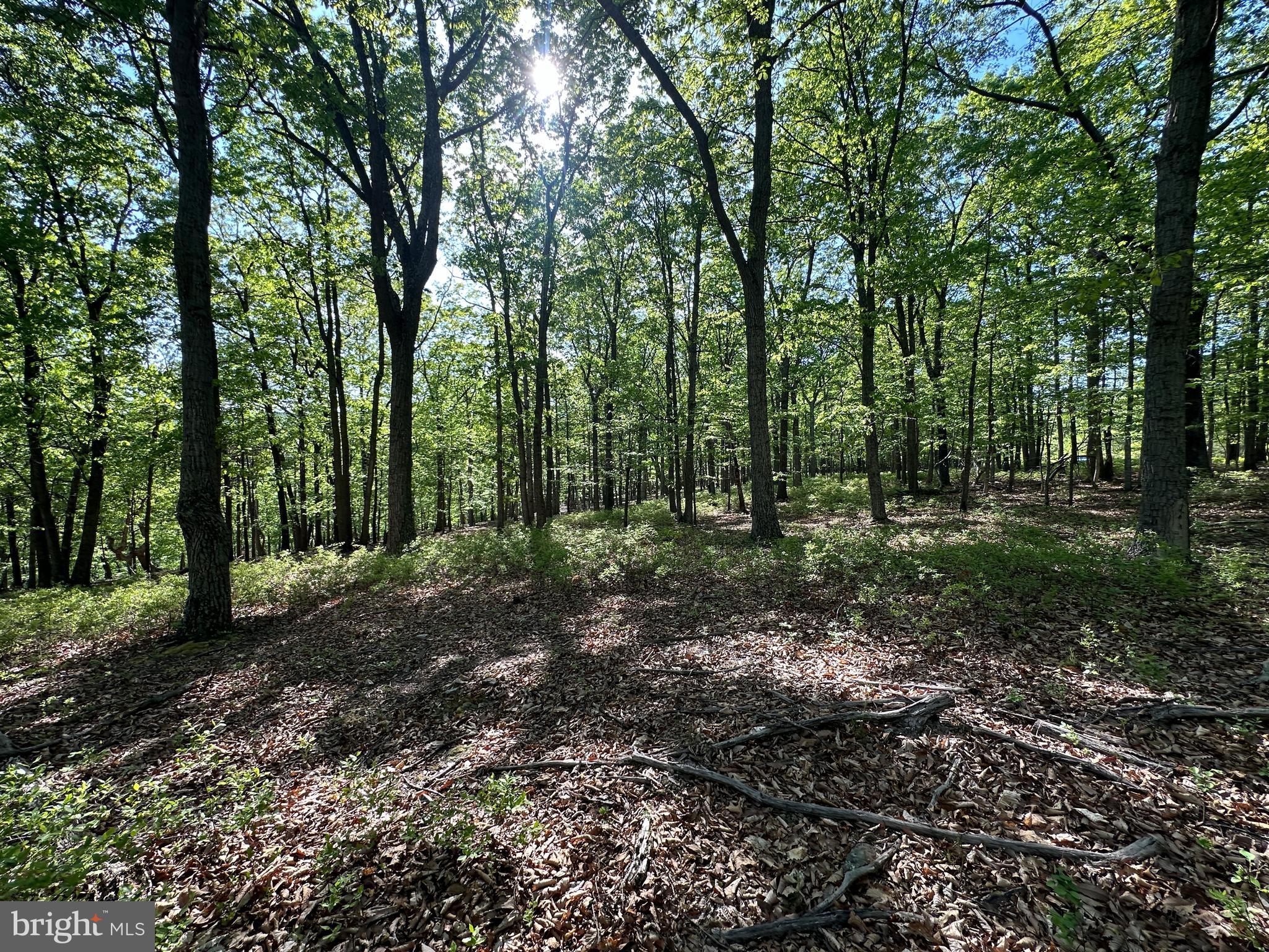 BLUFFS ON THE POTOMAC - Land