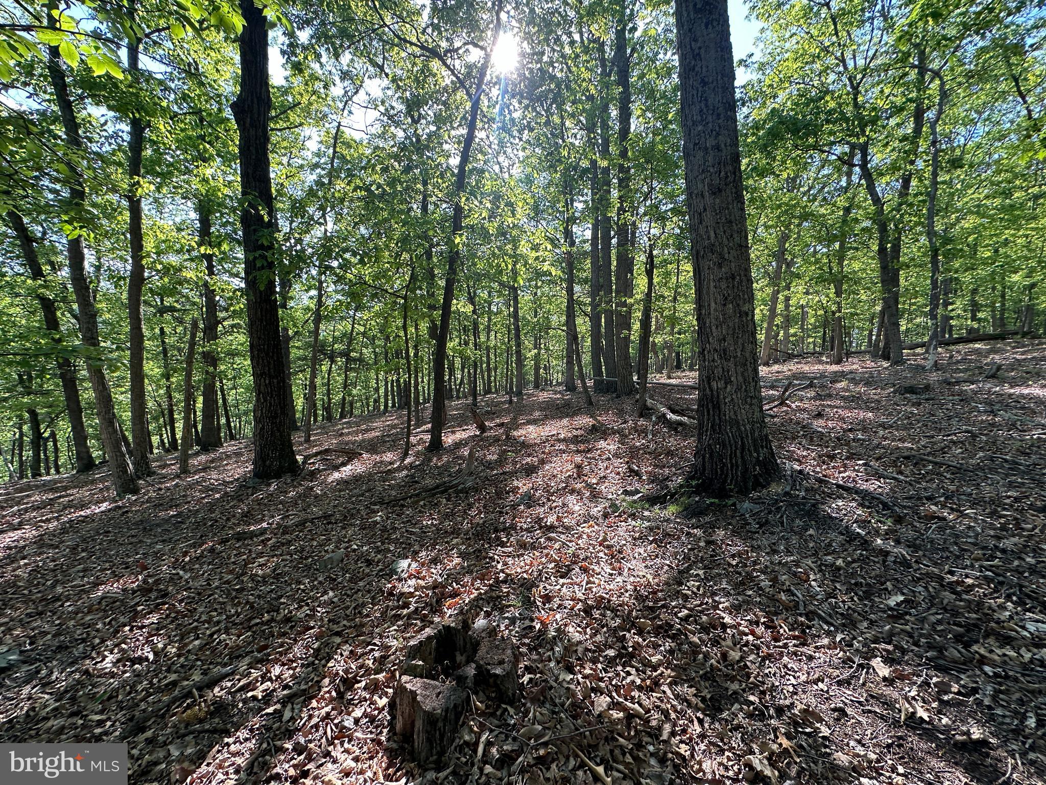 BLUFFS ON THE POTOMAC - Land