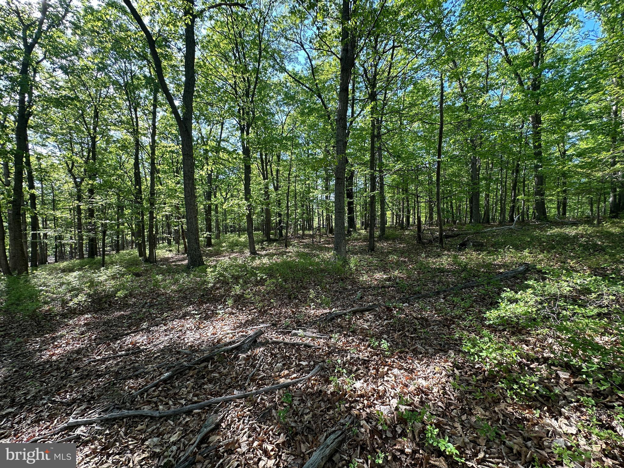 BLUFFS ON THE POTOMAC - Land