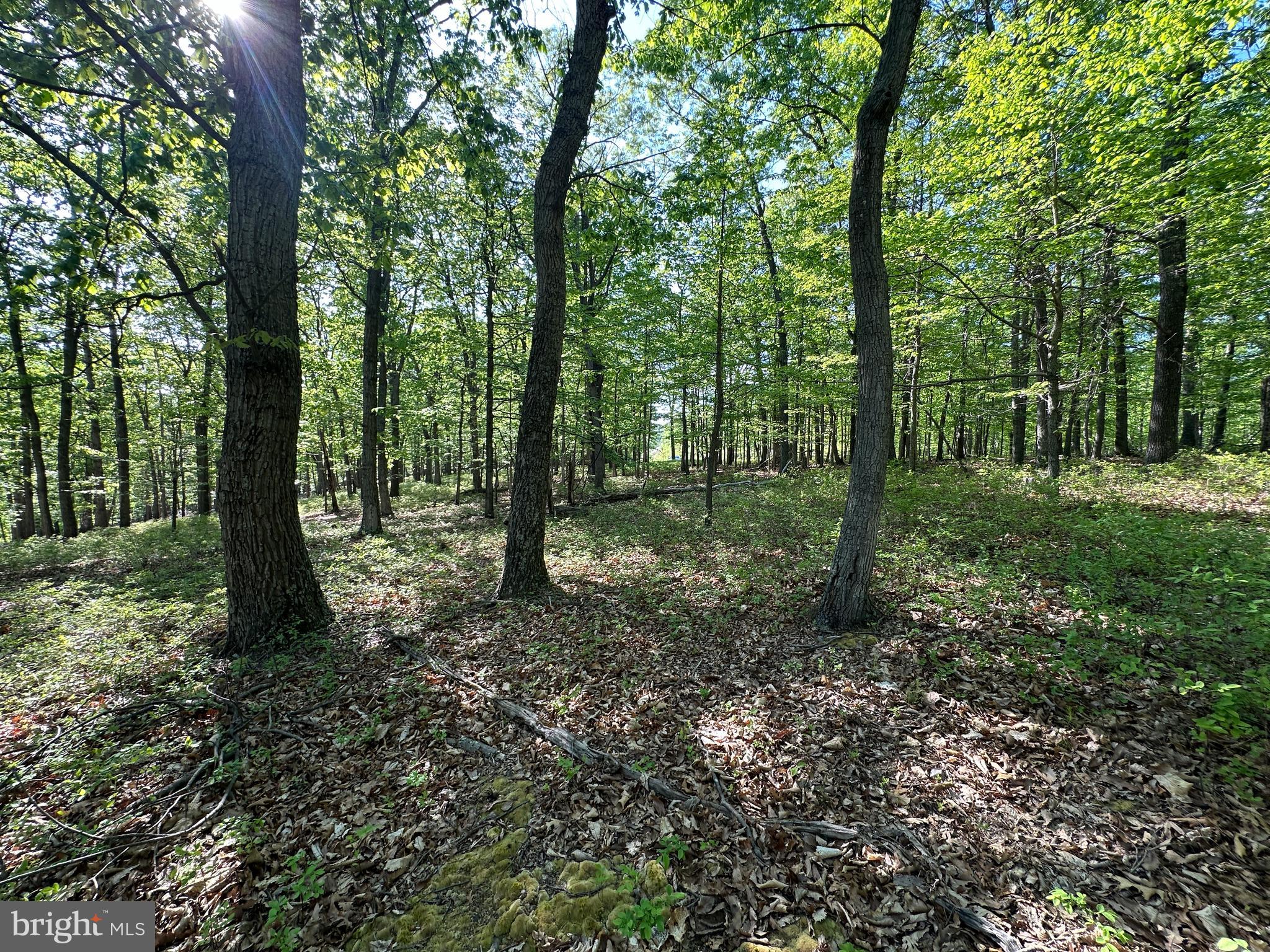 BLUFFS ON THE POTOMAC - Land