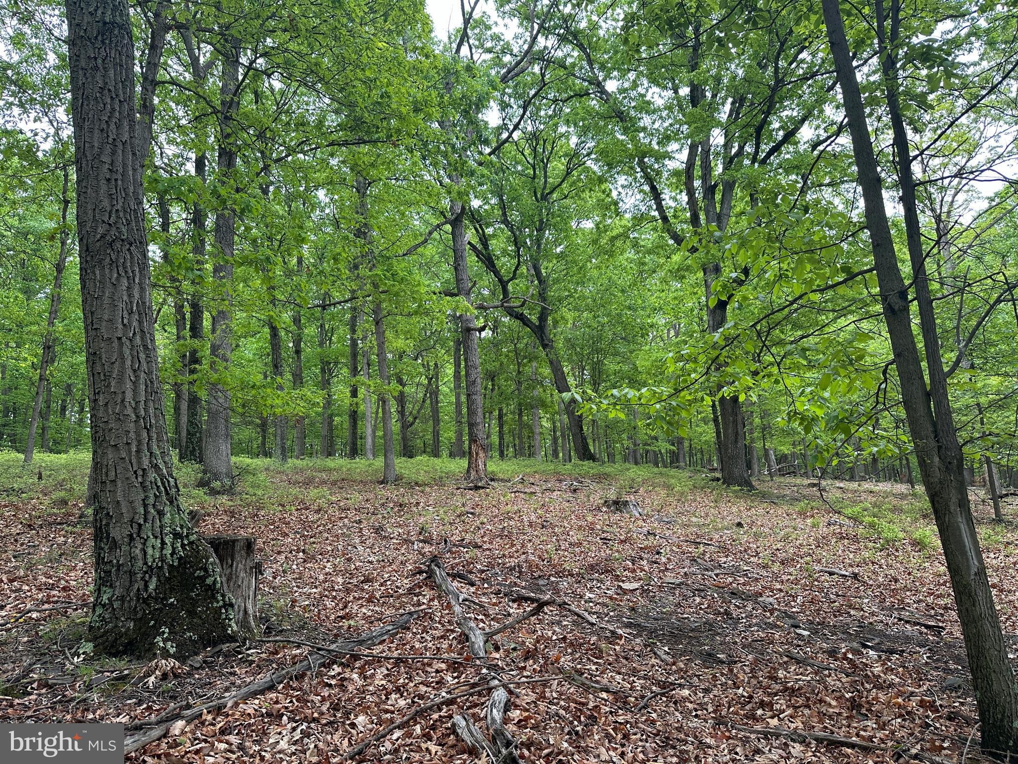 BLUFFS ON THE POTOMAC - Land