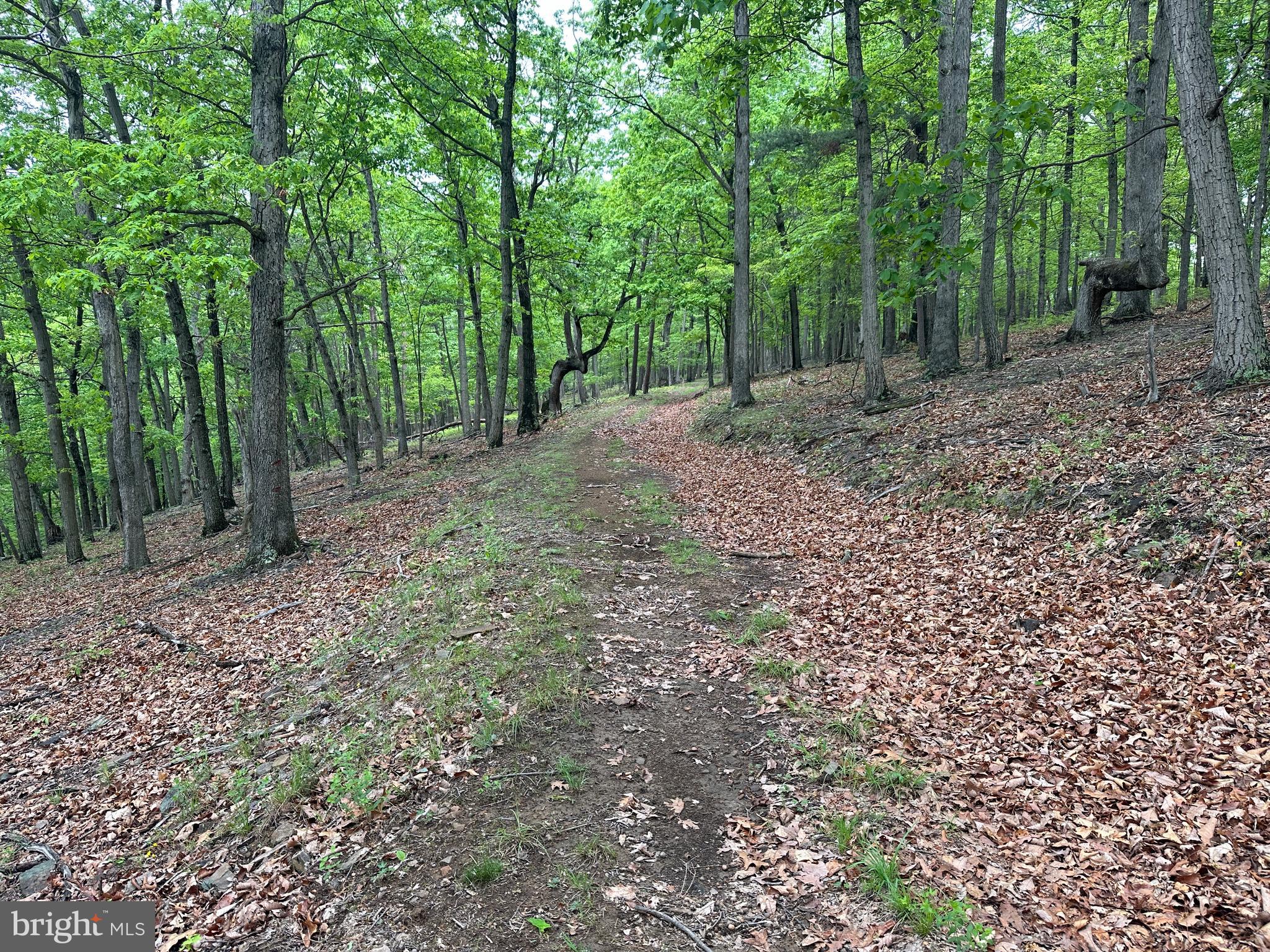 BLUFFS ON THE POTOMAC - Land