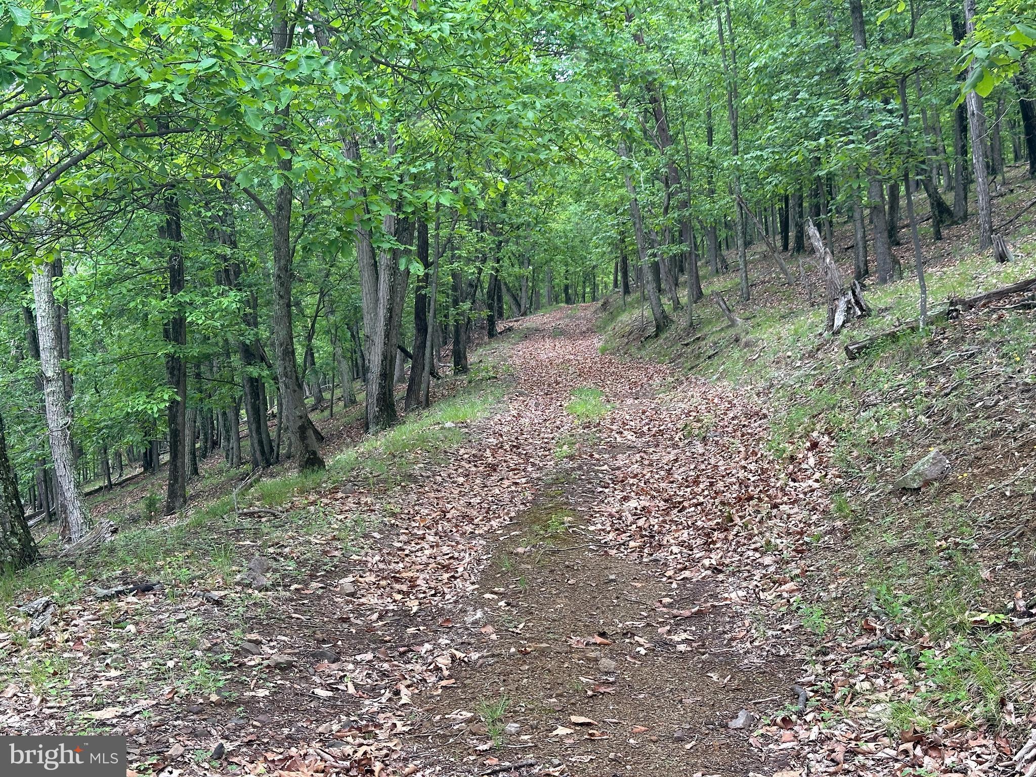BLUFFS ON THE POTOMAC - Land