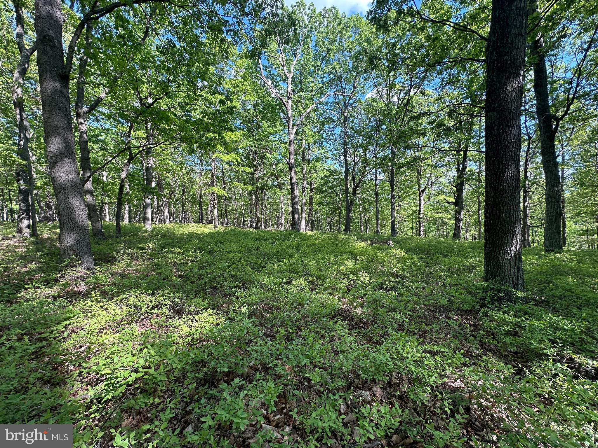 BLUFFS ON THE POTOMAC - Land