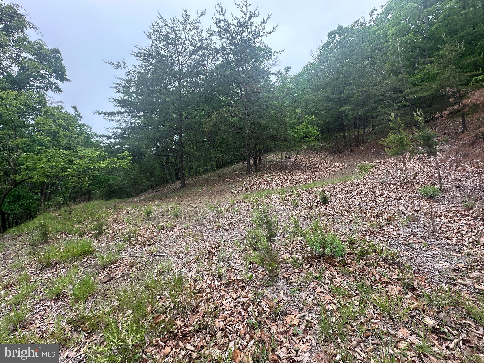 BLUFFS ON THE POTOMAC - Land