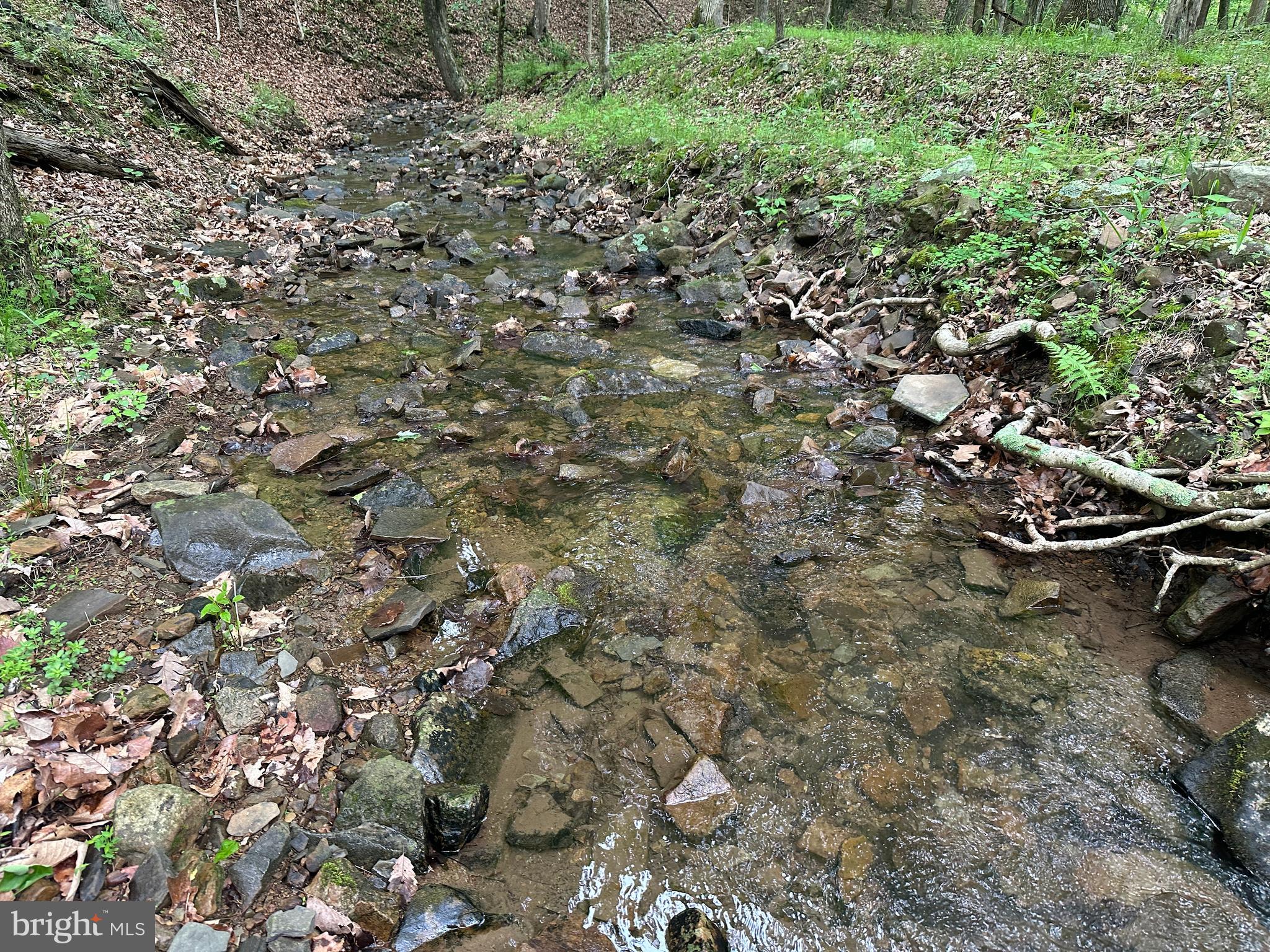 BLUFFS ON THE POTOMAC - Land