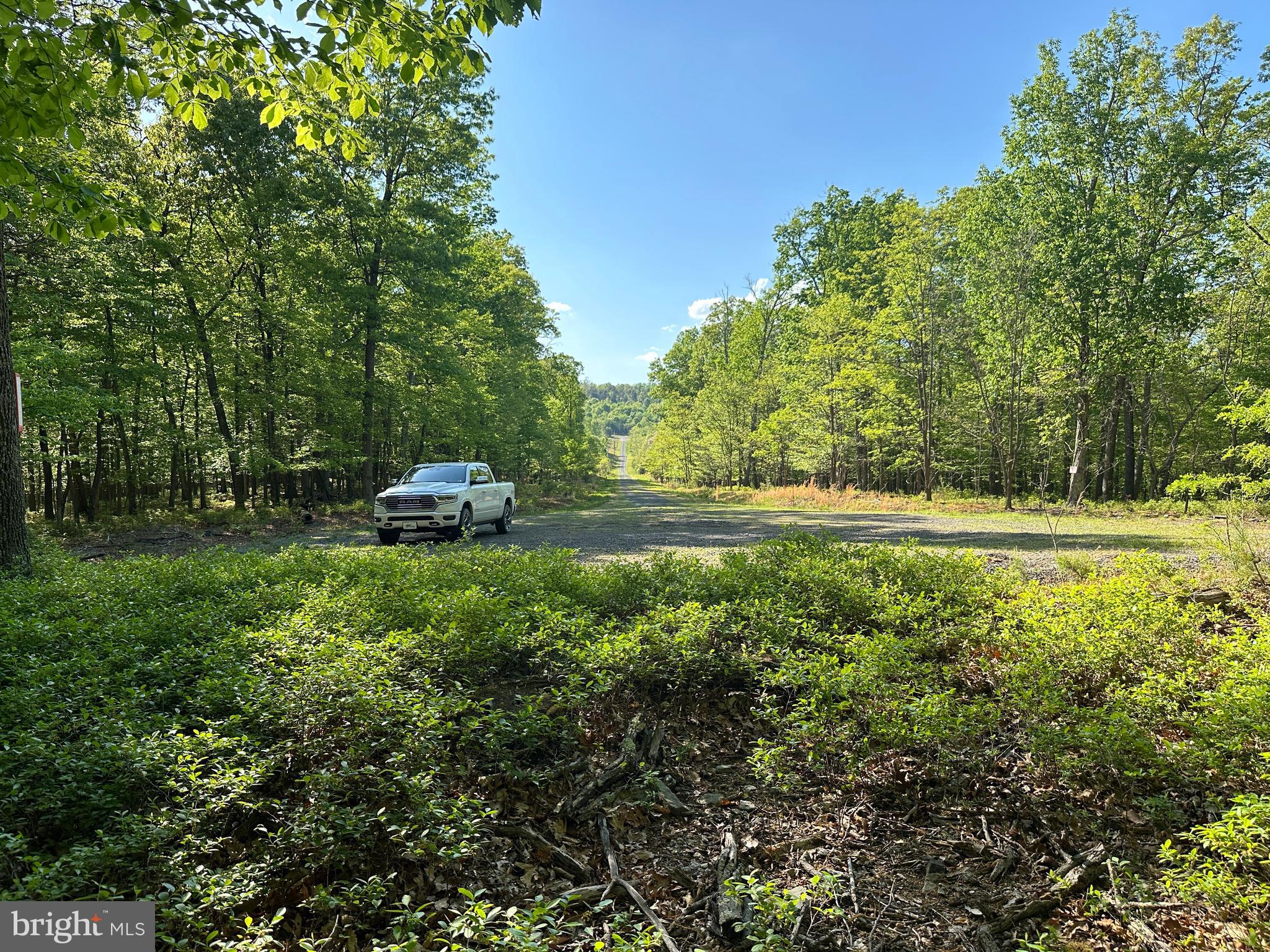 BLUFFS ON THE POTOMAC - Land