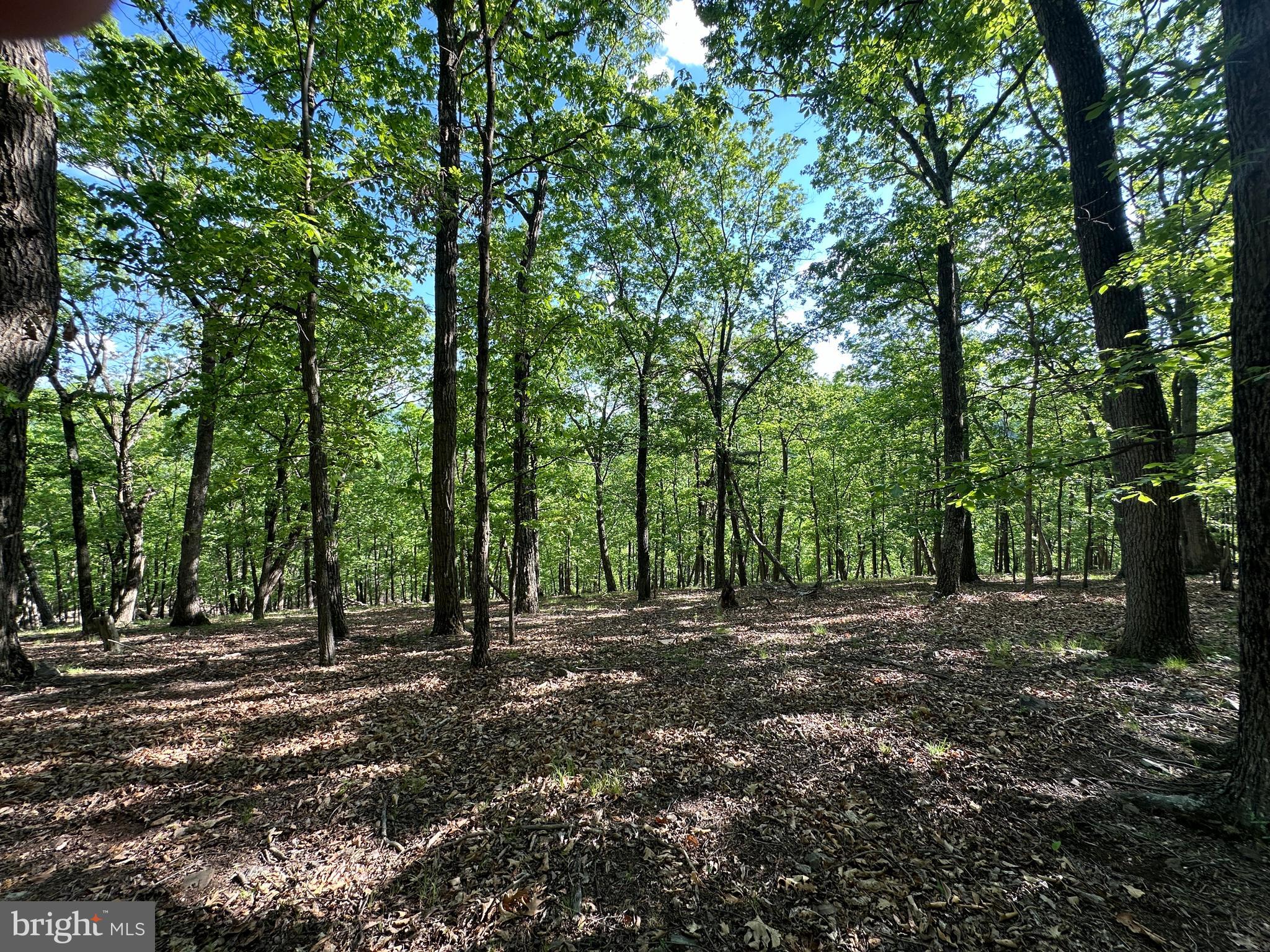 BLUFFS ON THE POTOMAC - Land