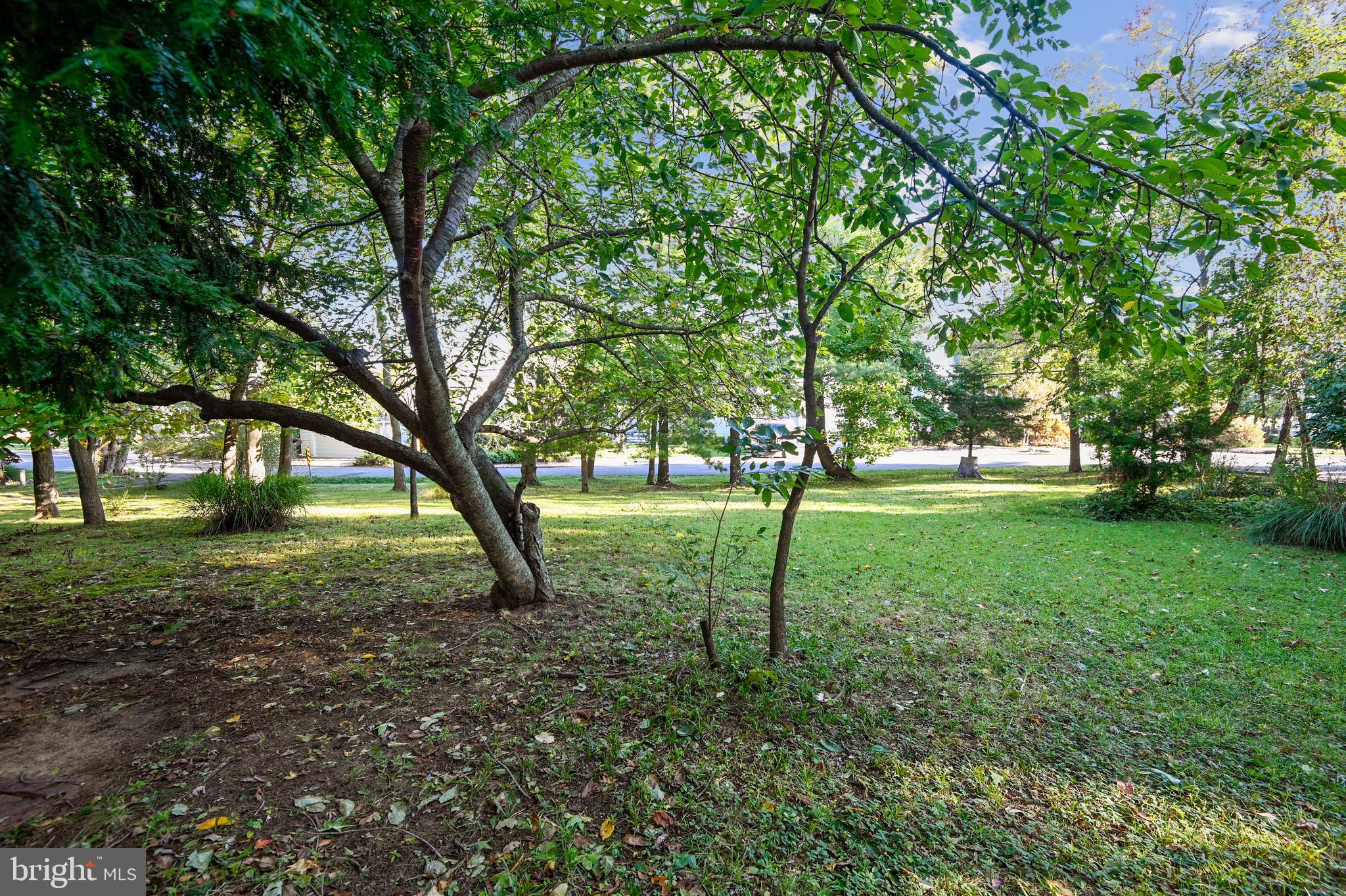 OAKWOOD - Residential