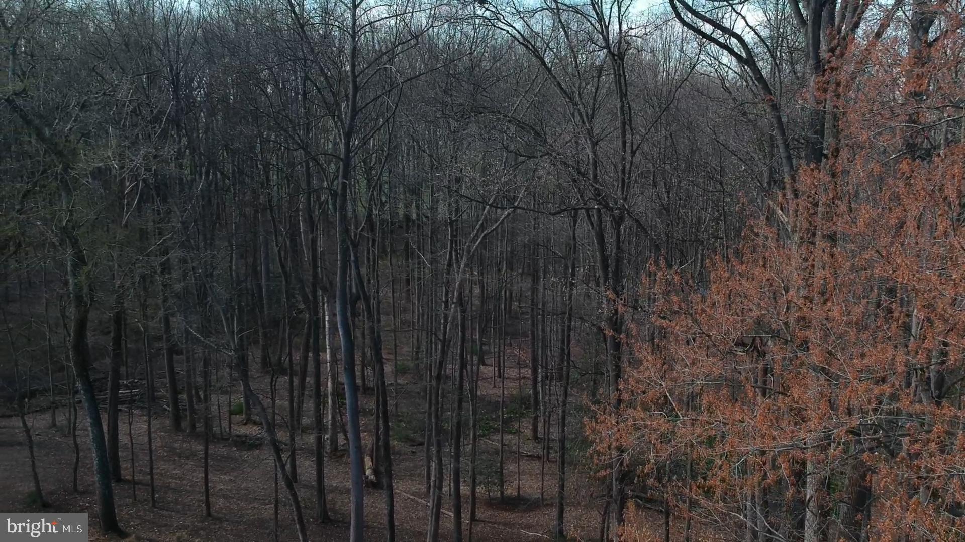 MOUNTAIN VISTA - Residential