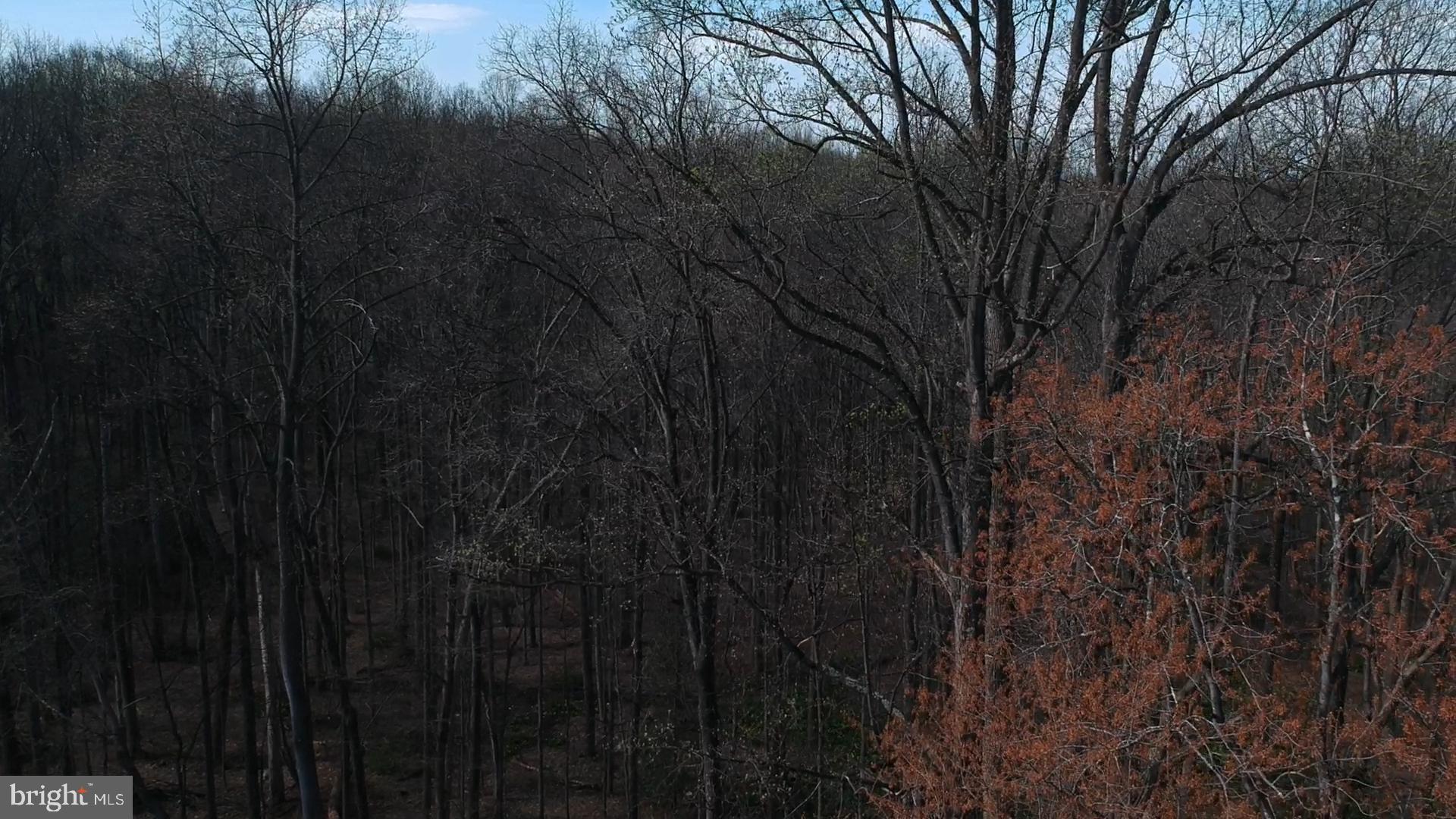 MOUNTAIN VISTA - Residential