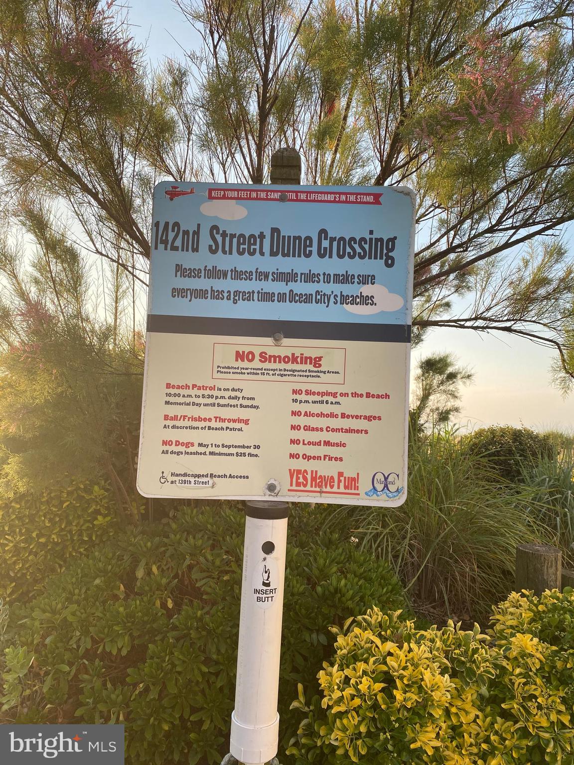 CAINE WOODS - Residential