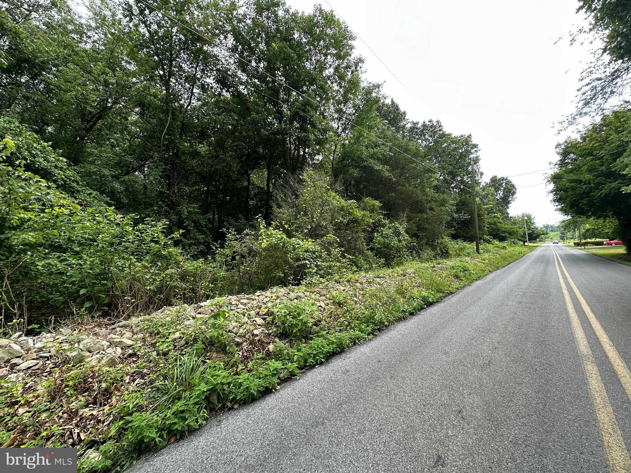 9+/- ACRES POLIDOR ROAD