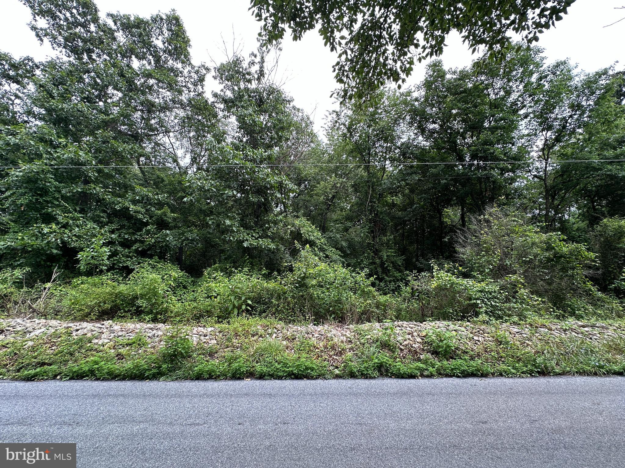9+/- ACRES POLIDOR ROAD