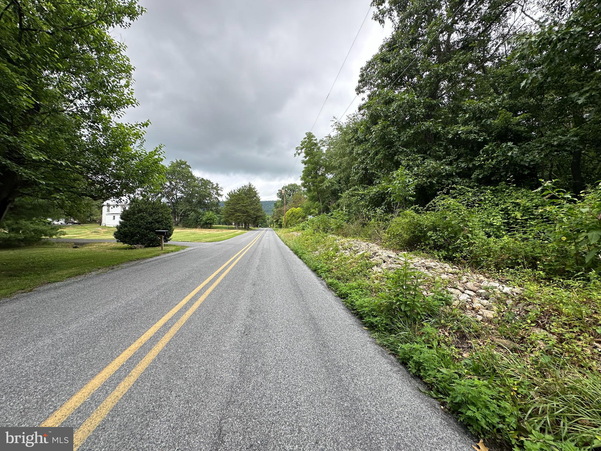 9+/- ACRES POLIDOR ROAD