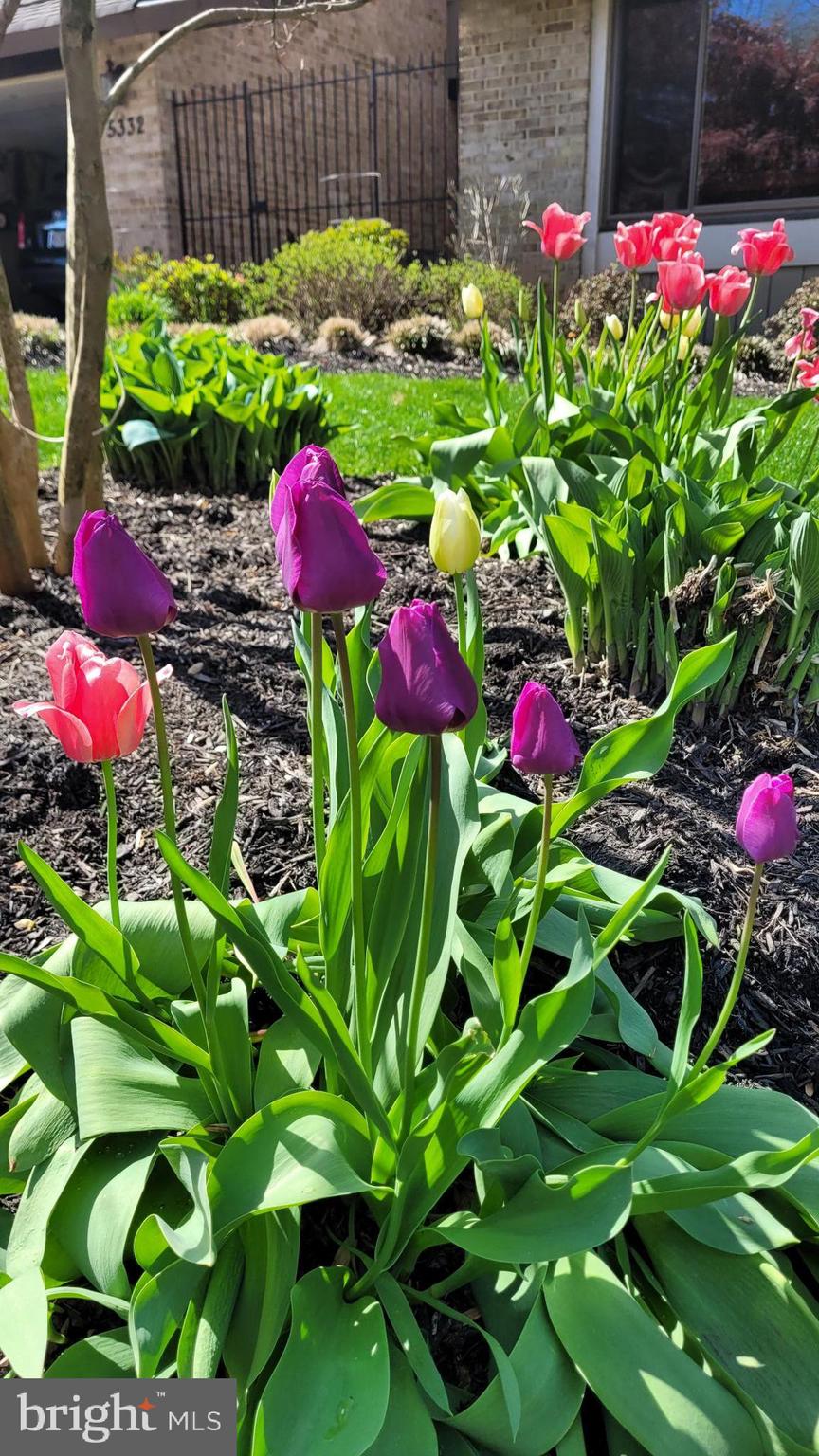 BONNIE BRAE - Residential