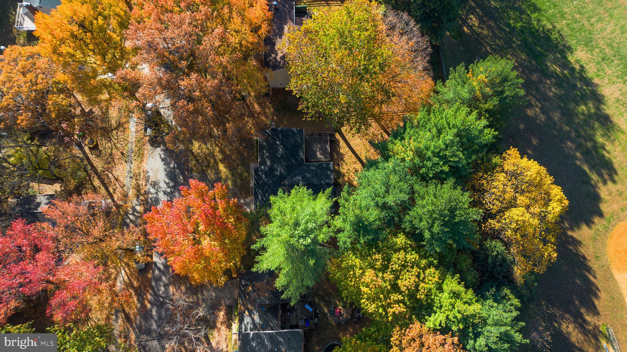 STEVENS FOREST - Residential