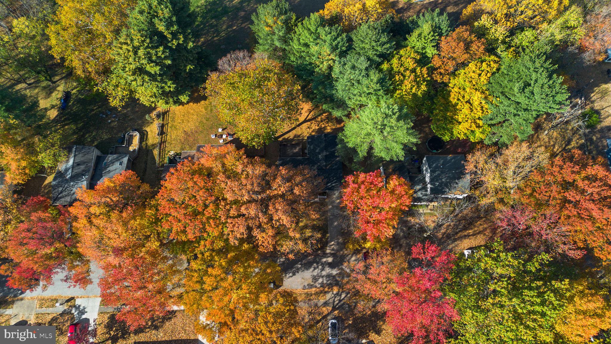 STEVENS FOREST - Residential