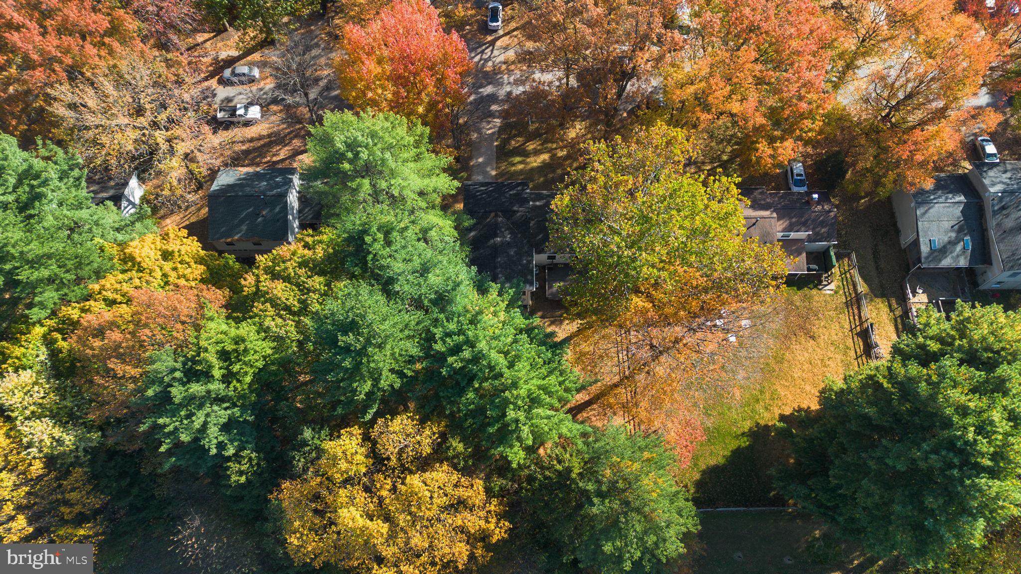 STEVENS FOREST - Residential