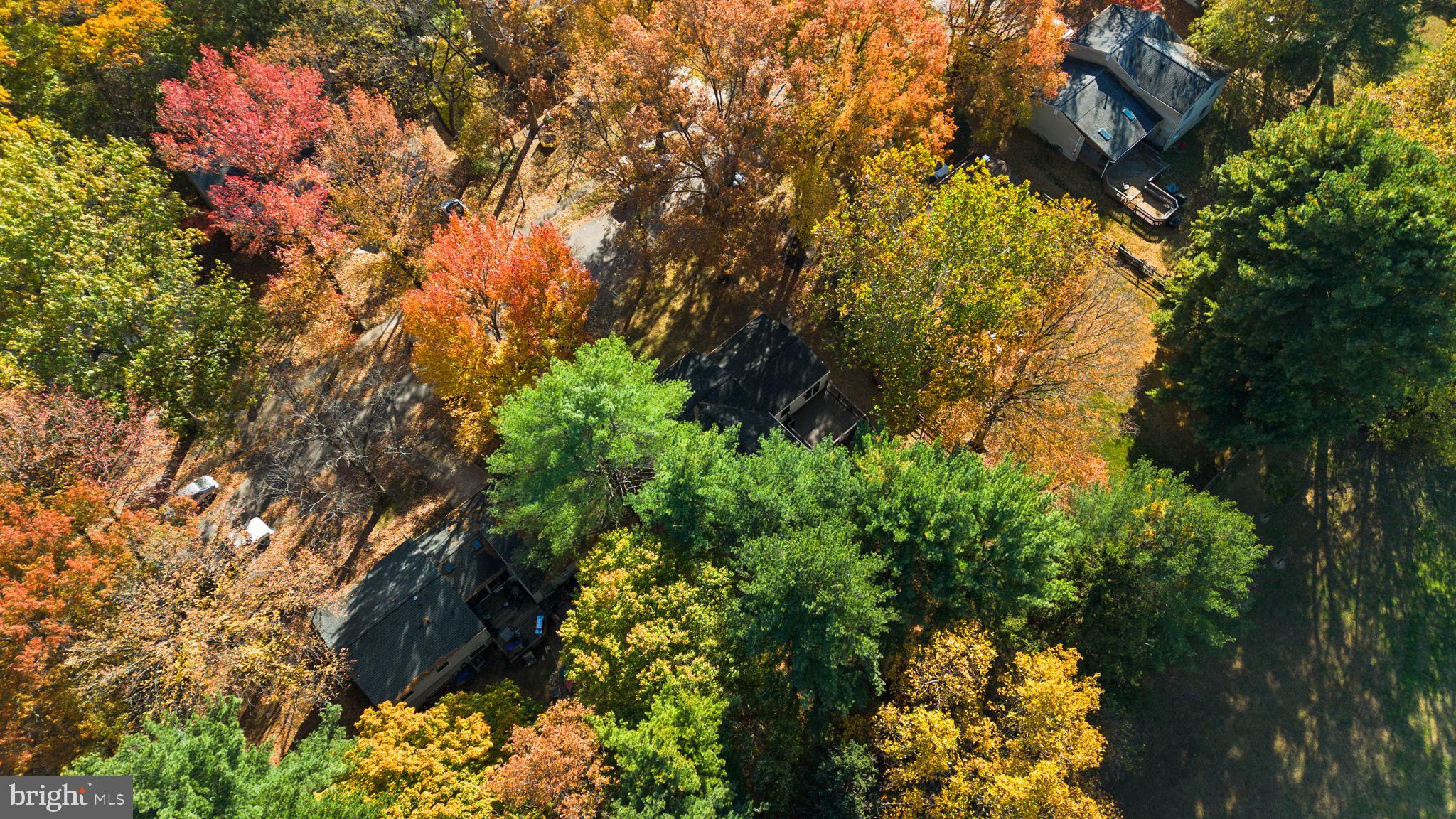 STEVENS FOREST - Residential