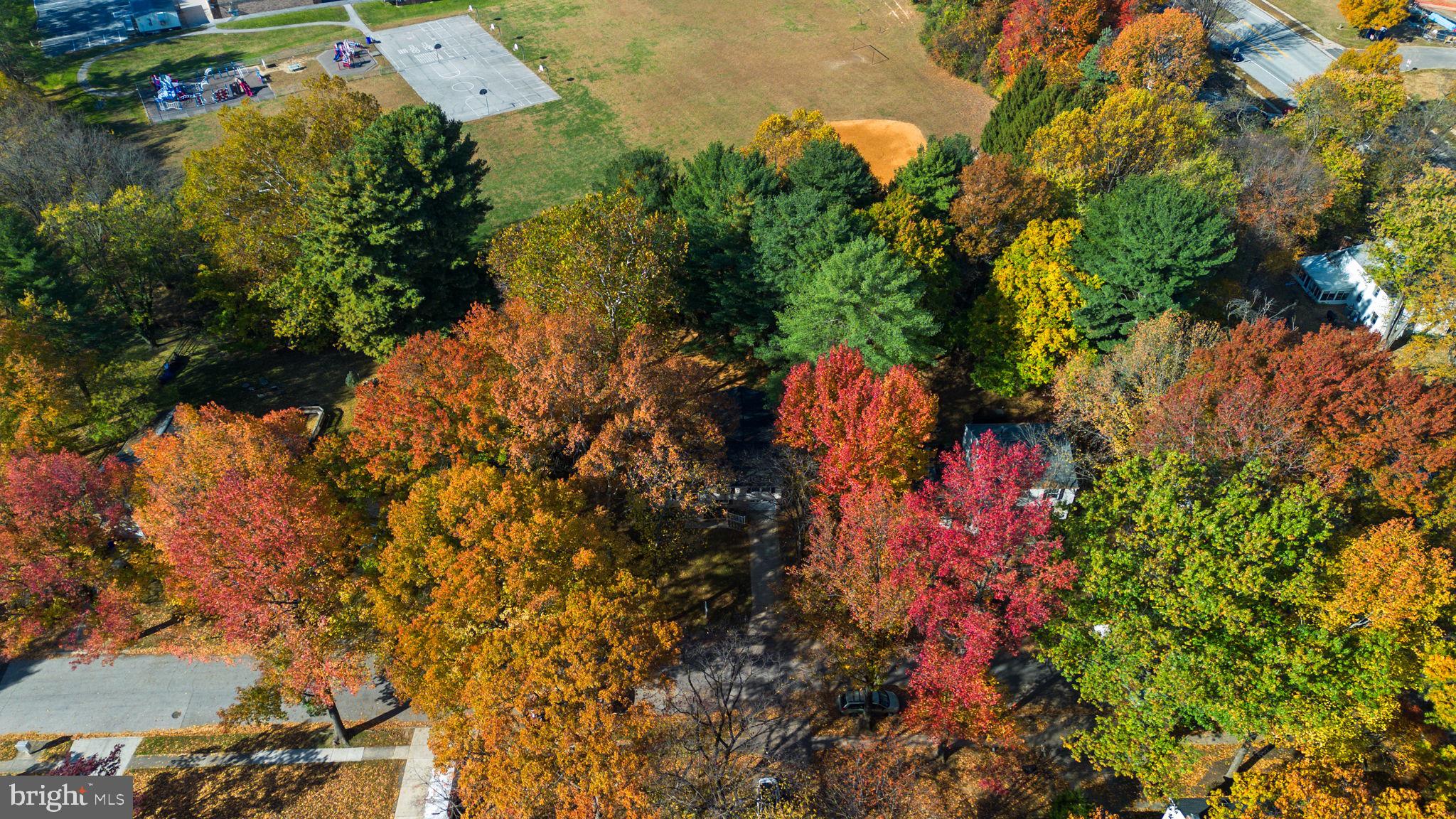 STEVENS FOREST - Residential