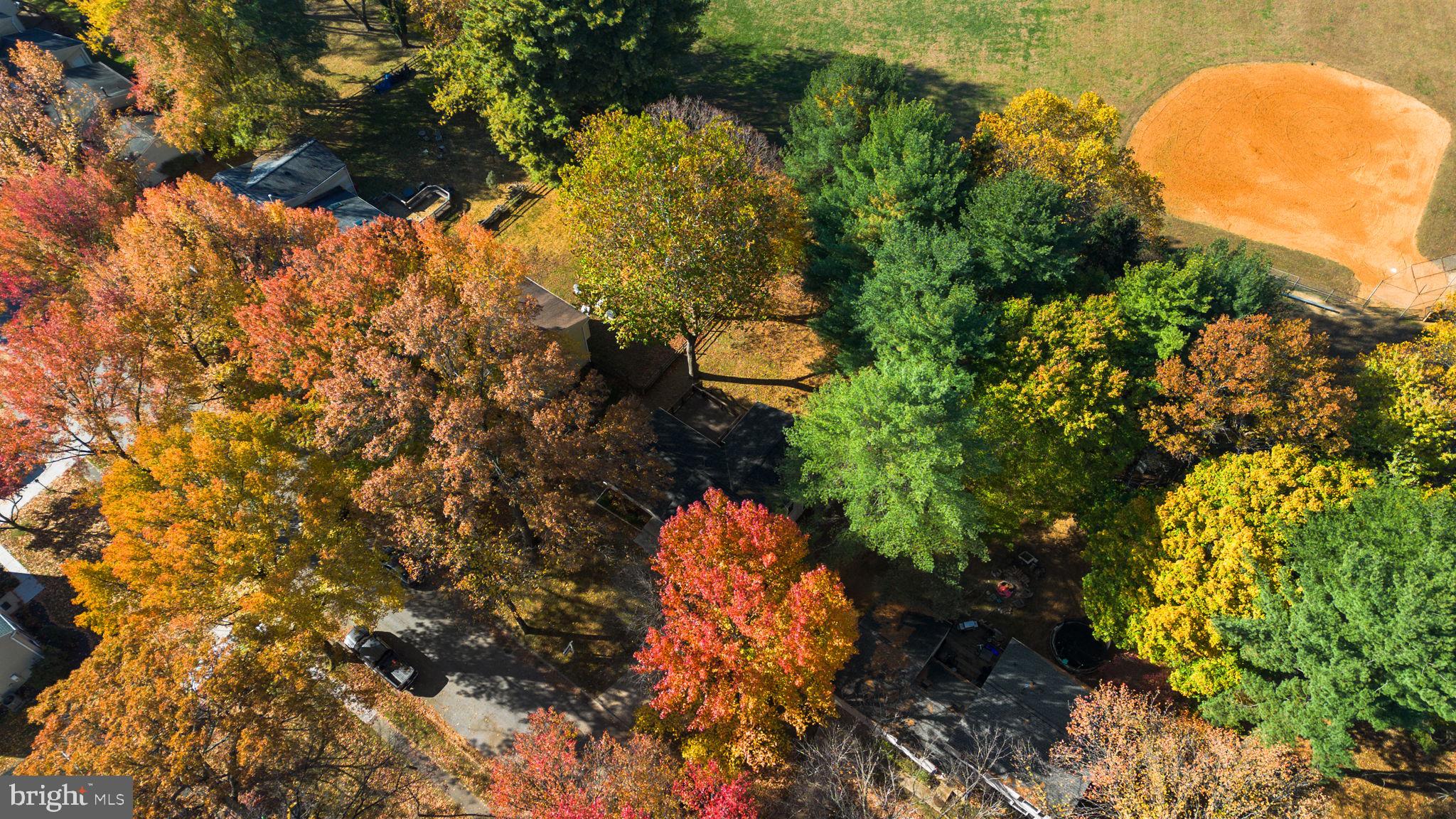 STEVENS FOREST - Residential