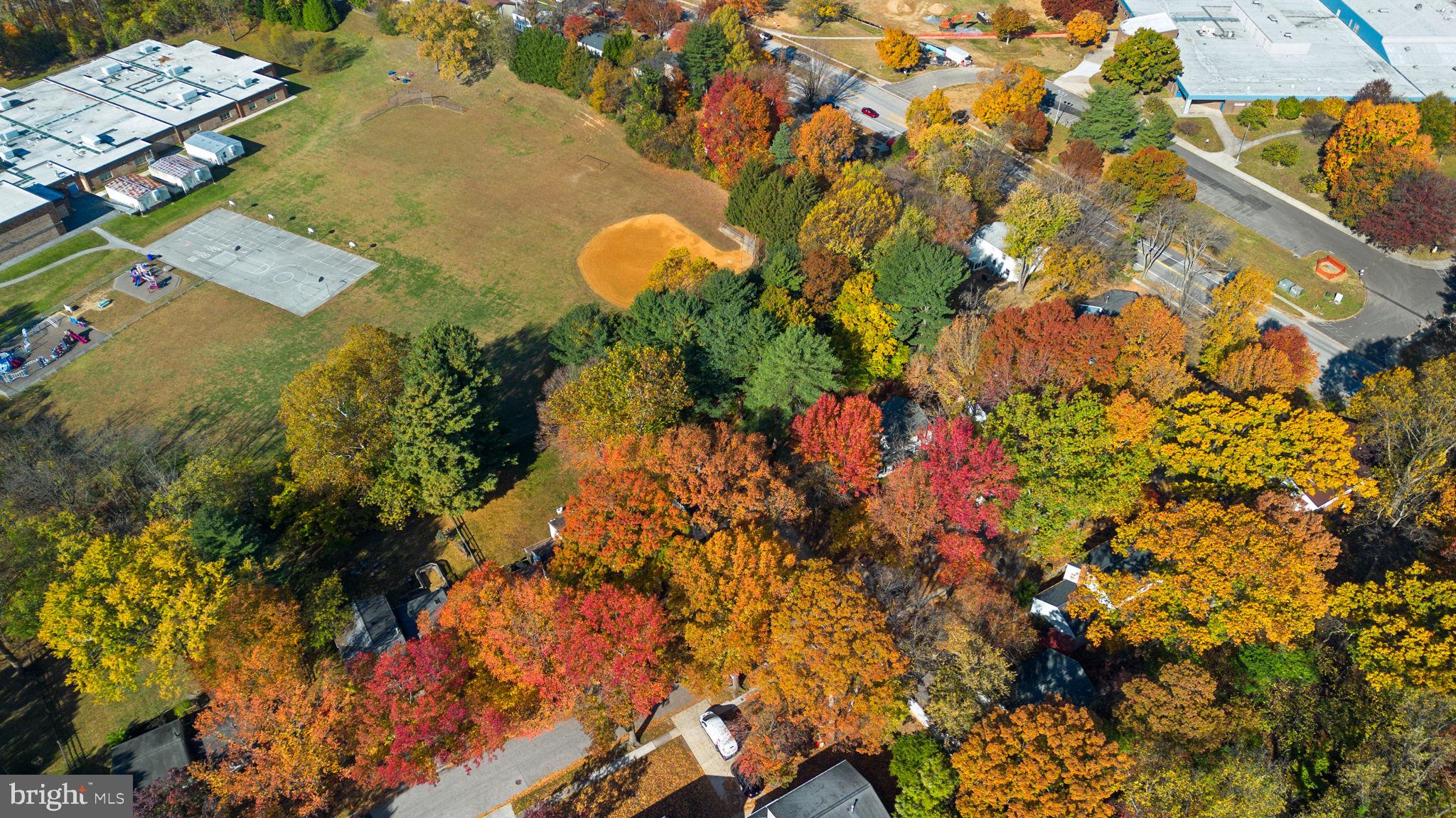 STEVENS FOREST - Residential