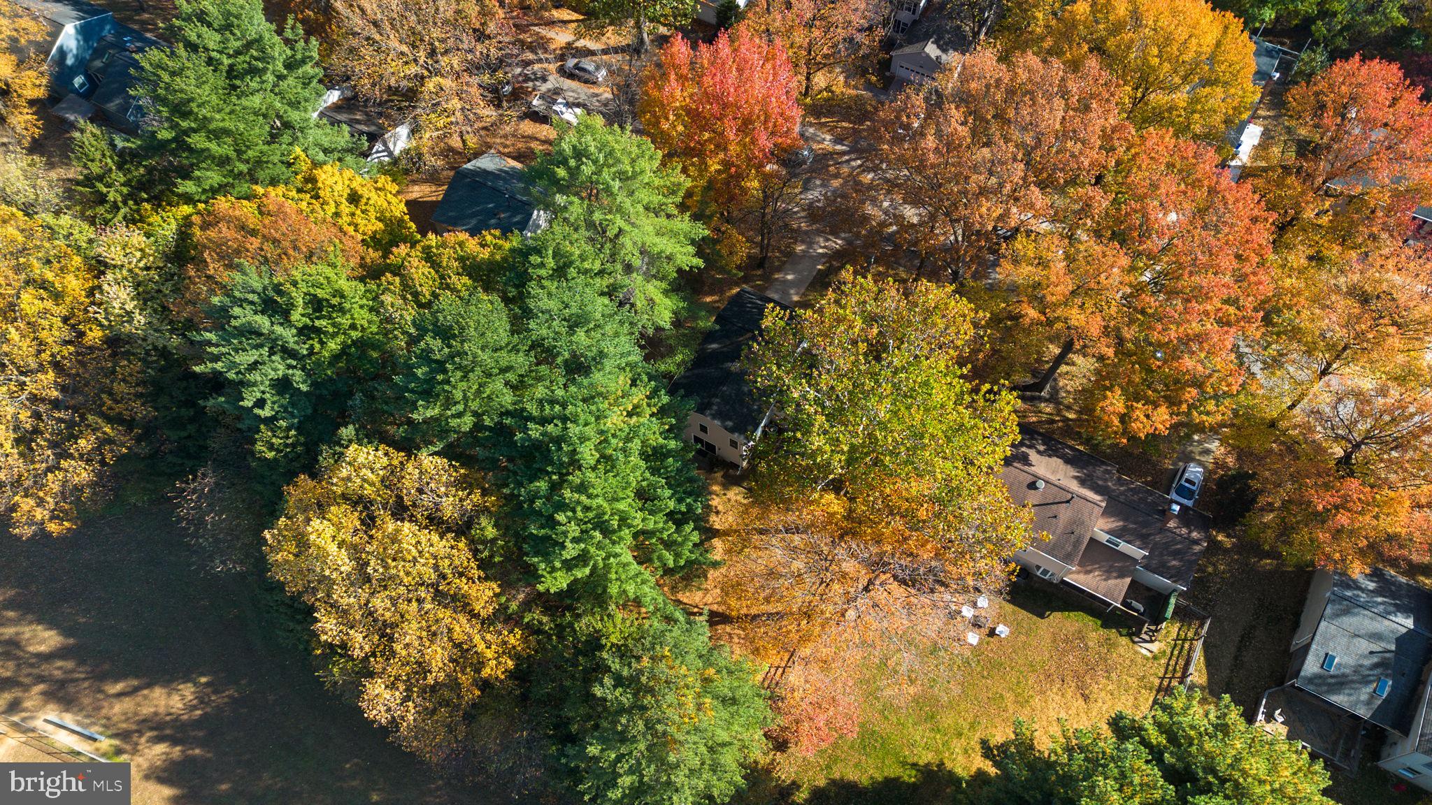 STEVENS FOREST - Residential