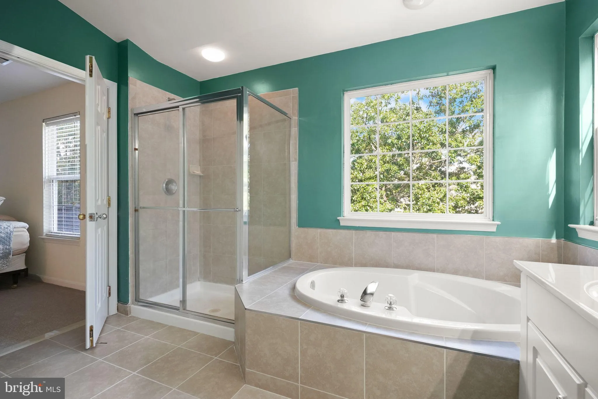 Bristow, Virginia 20136, United States, 5 Bedrooms Bedrooms, ,4 BathroomsBathrooms,Residential,Coming Soon,196073