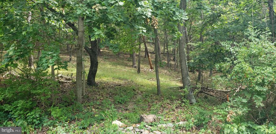 Residential building lots totaling 8.47 acres with city utilities at main street.