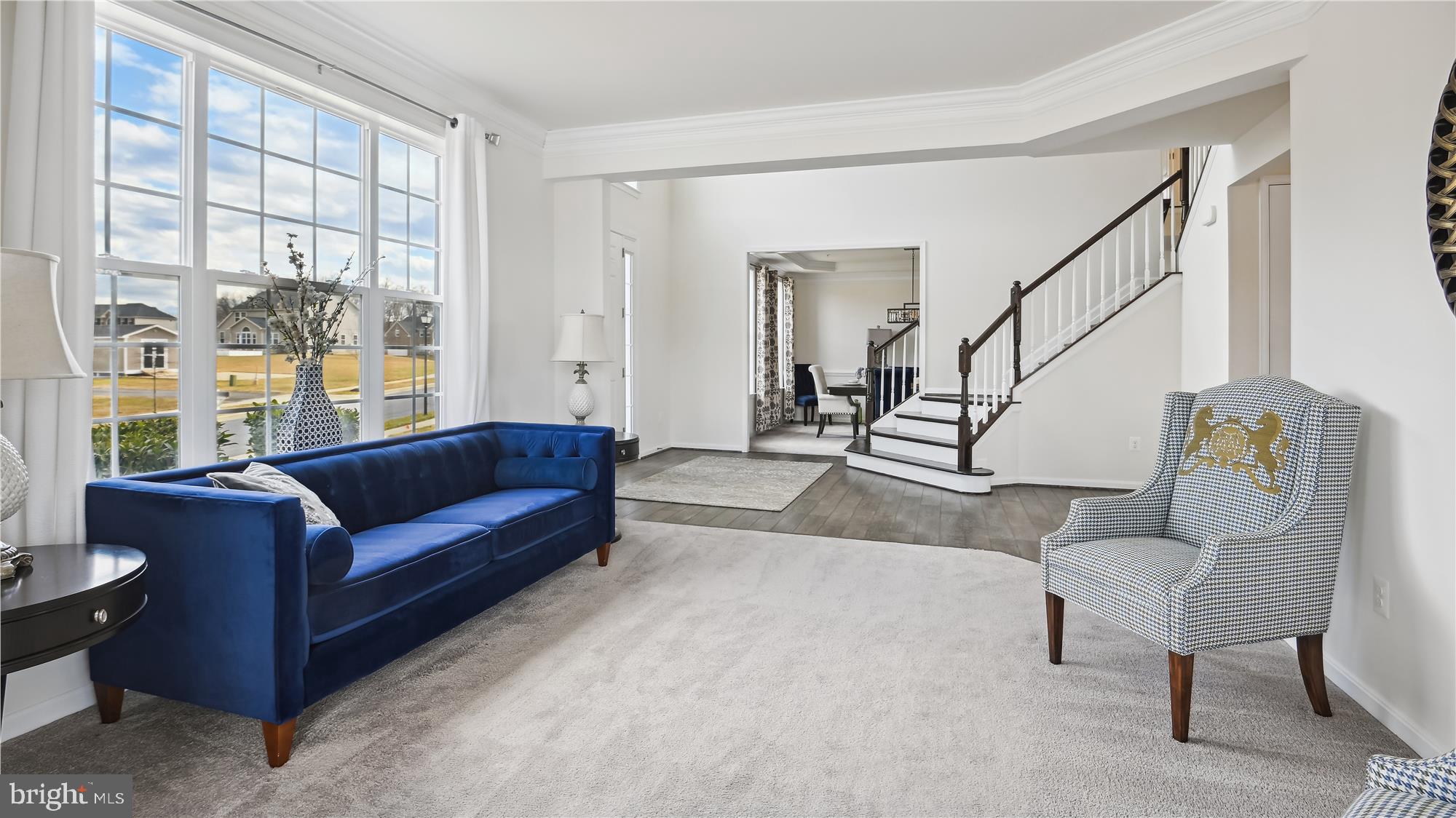 WASHINGTON OVERLOOK - Residential