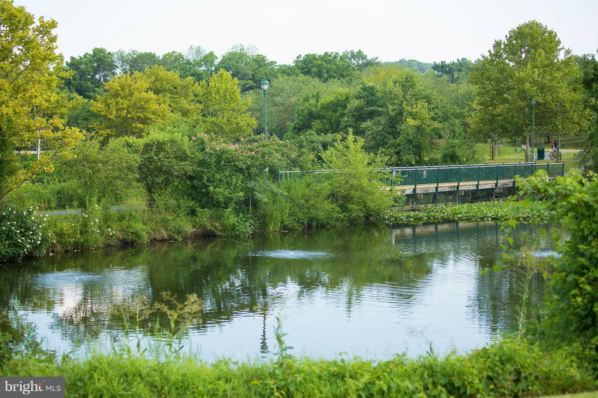 CAMERON STATION - Residential