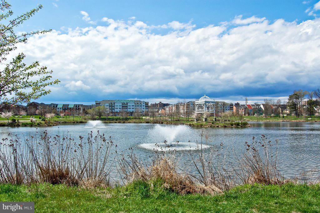 CAMERON STATION - Residential