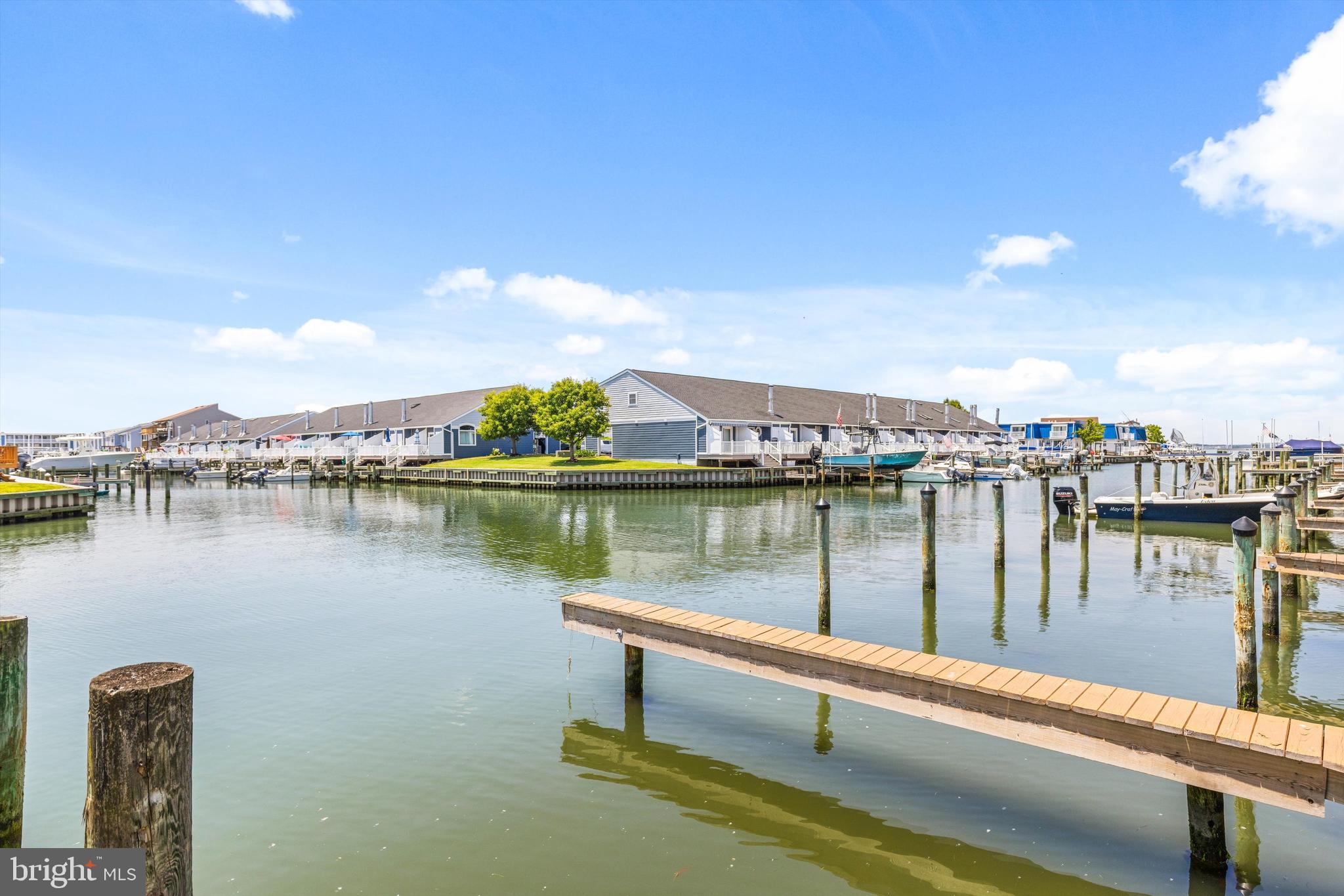 501 PENGUIN DRIVE 1A01