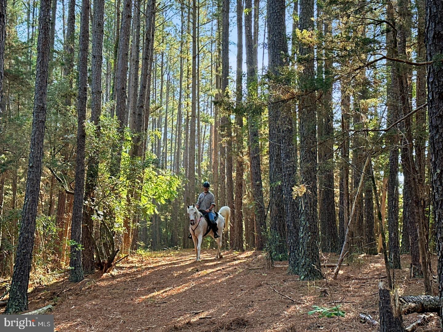 JOHNSTON - Residential