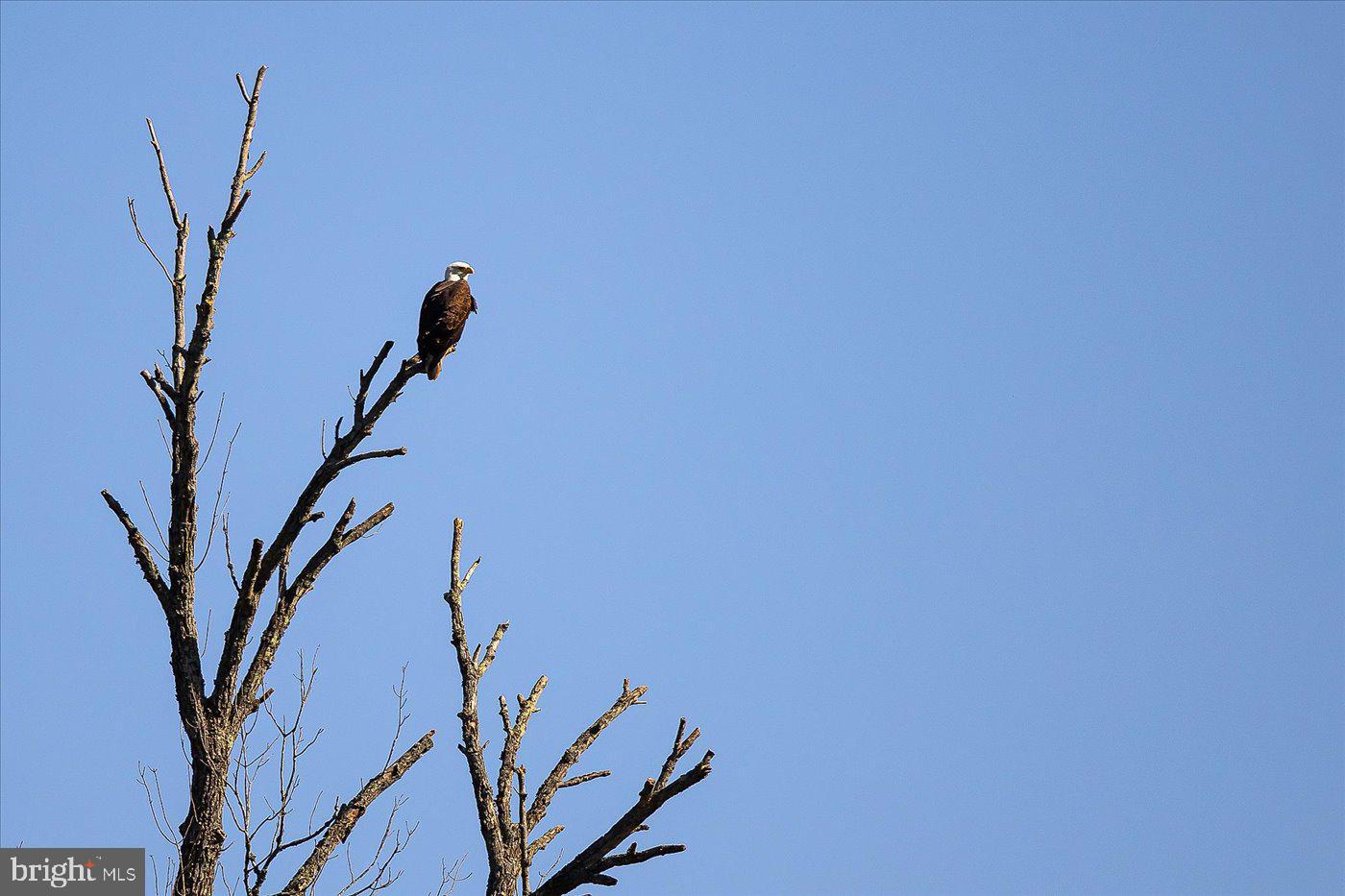 NEW POST ON THE RAPPAHANNOCK - Residential