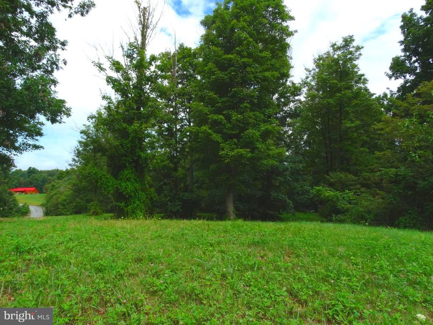 This is a corner  lot on Lutzville Road and Ridge Way Drive.file.   Mostly level lot with a few trees.  Buyer needs to drill well  and install sand mound septic system.  Perc approved with papers on file.