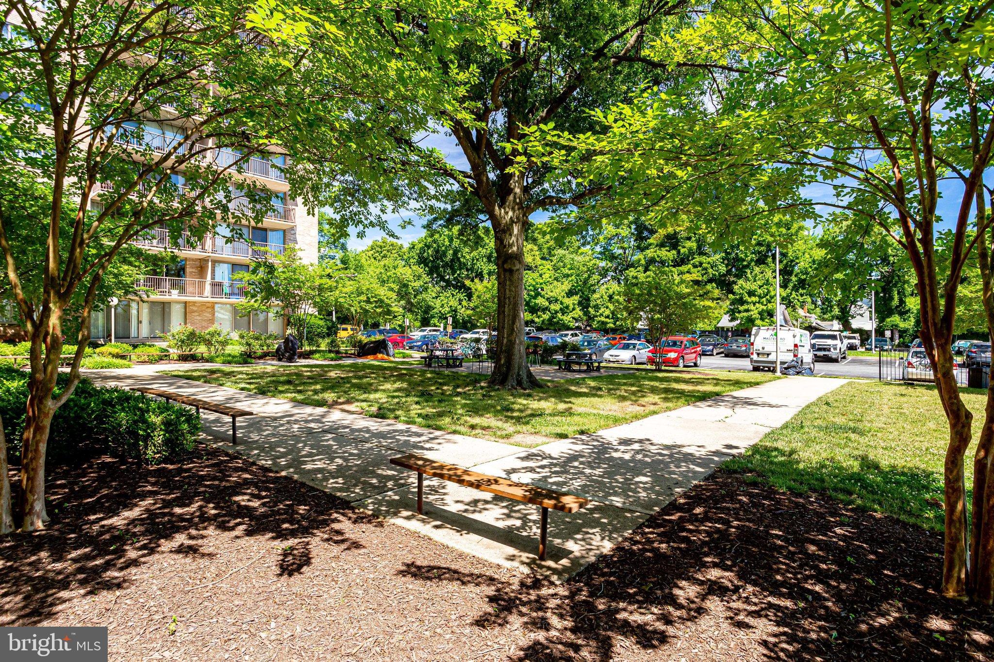 THE OGLETHORPE - Residential